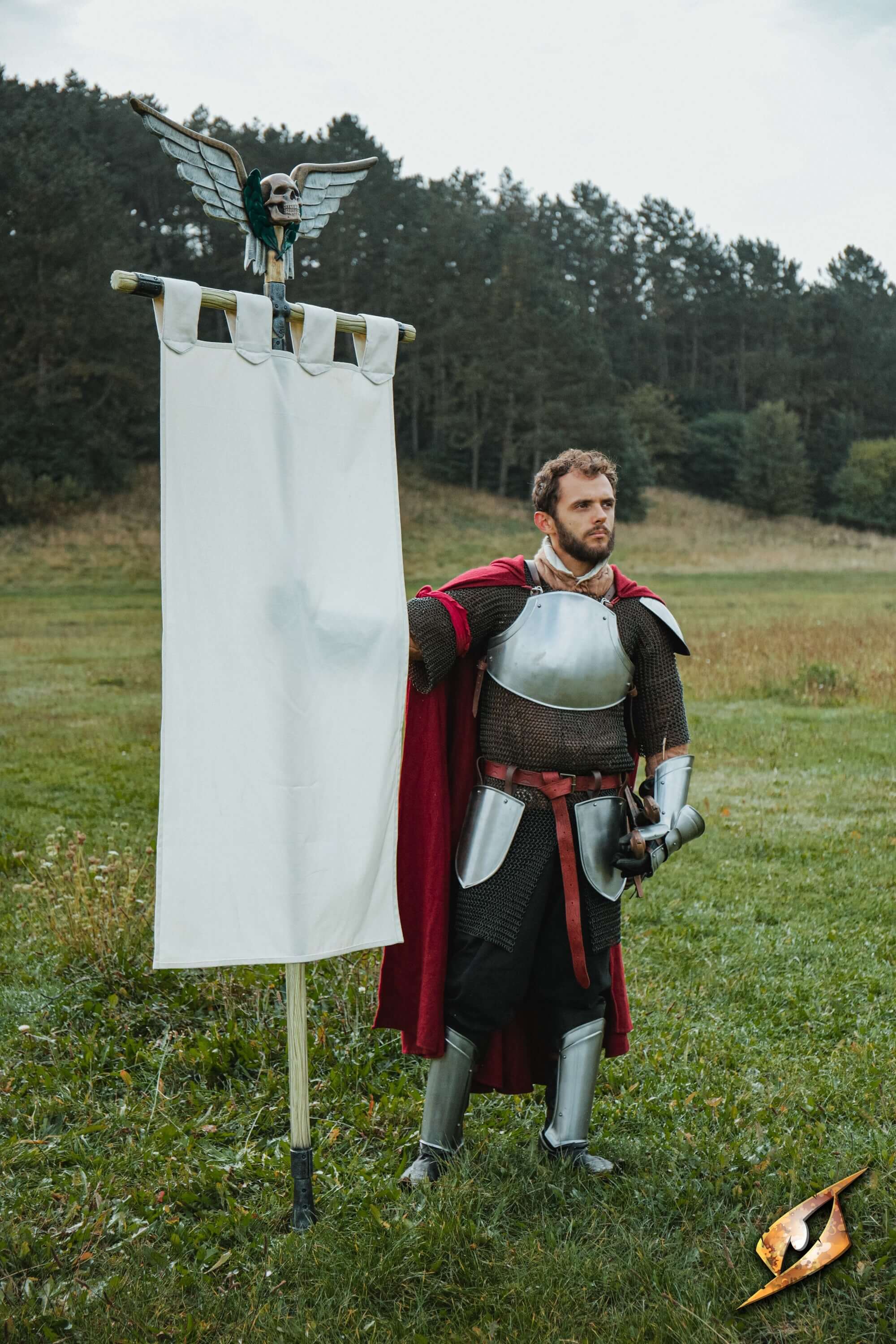A knight holding a battle standard in an open field, representing Battle Standards collection.