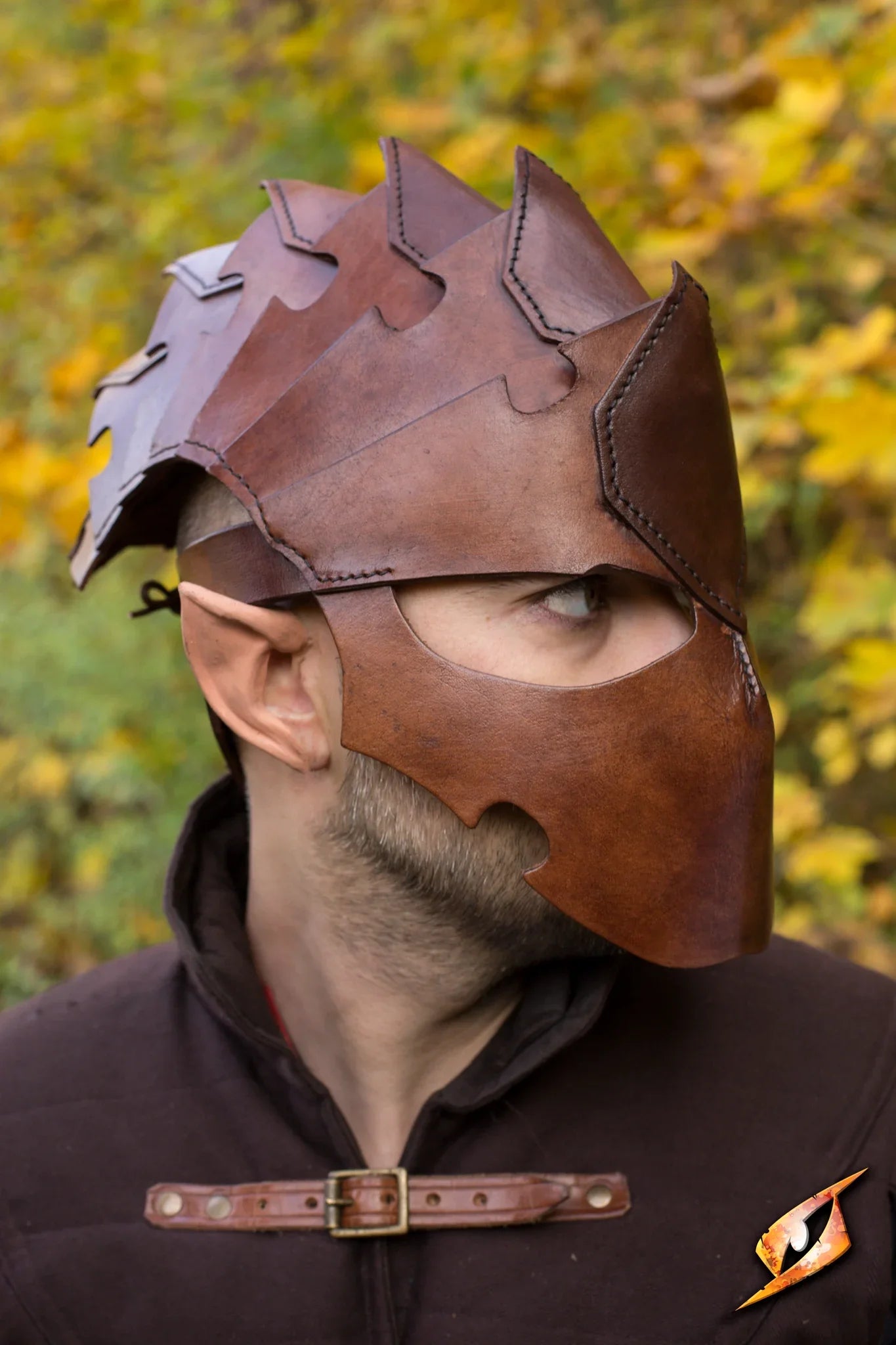 Assassin Helmet