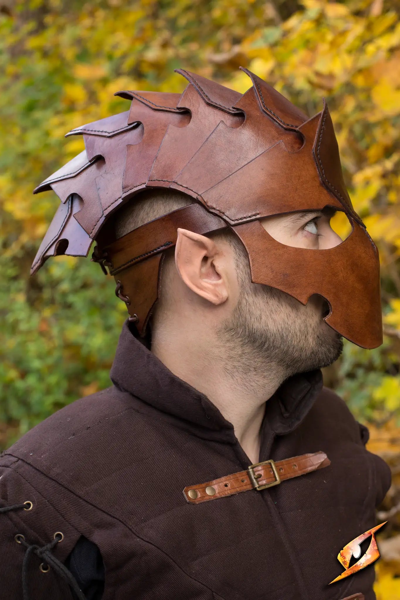 Assassin Helmet