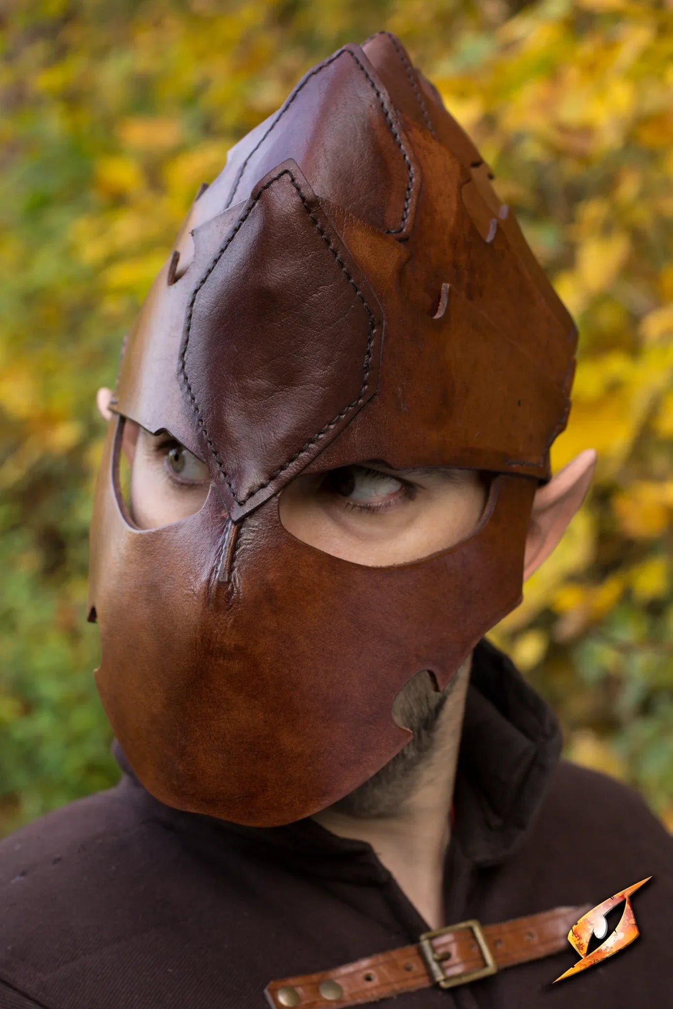 Assassin Helmet