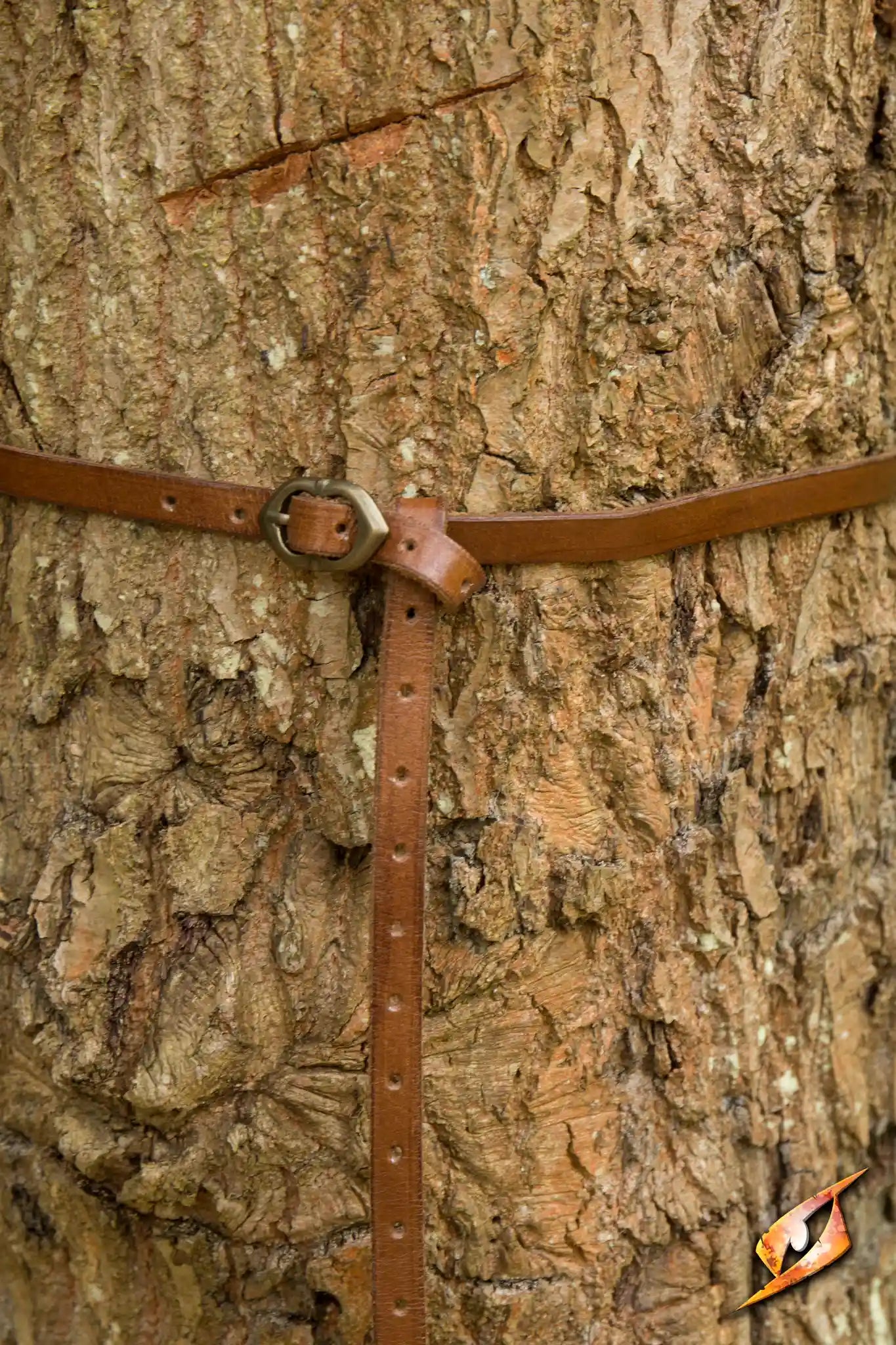 Belt Godfrey handcrafted brown leather belt wrapped around a tree, showcasing its durability and style.