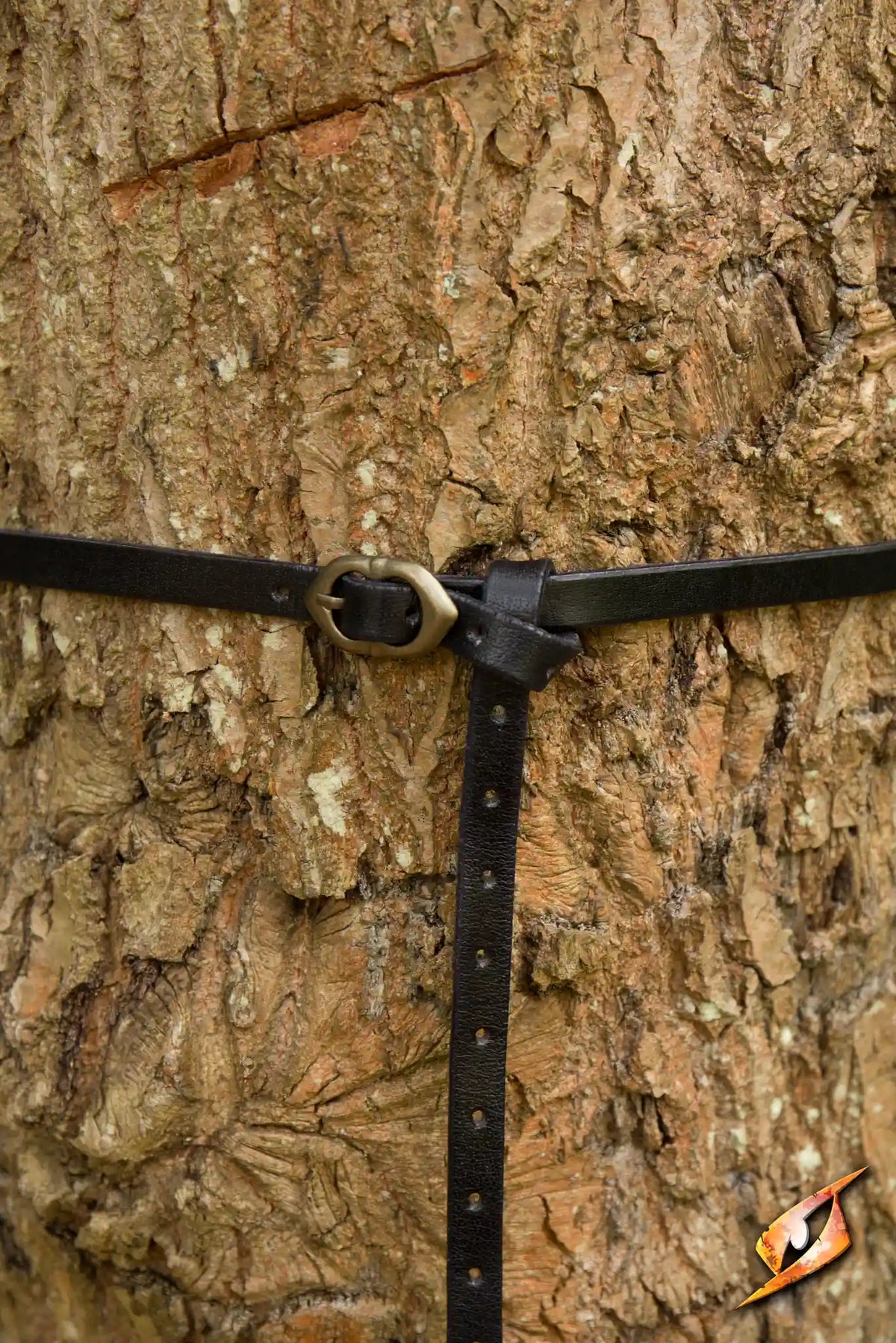 Belt Godfrey handcrafted brown leather belt wrapped around a tree trunk, showcasing its brass fittings and sturdy design.