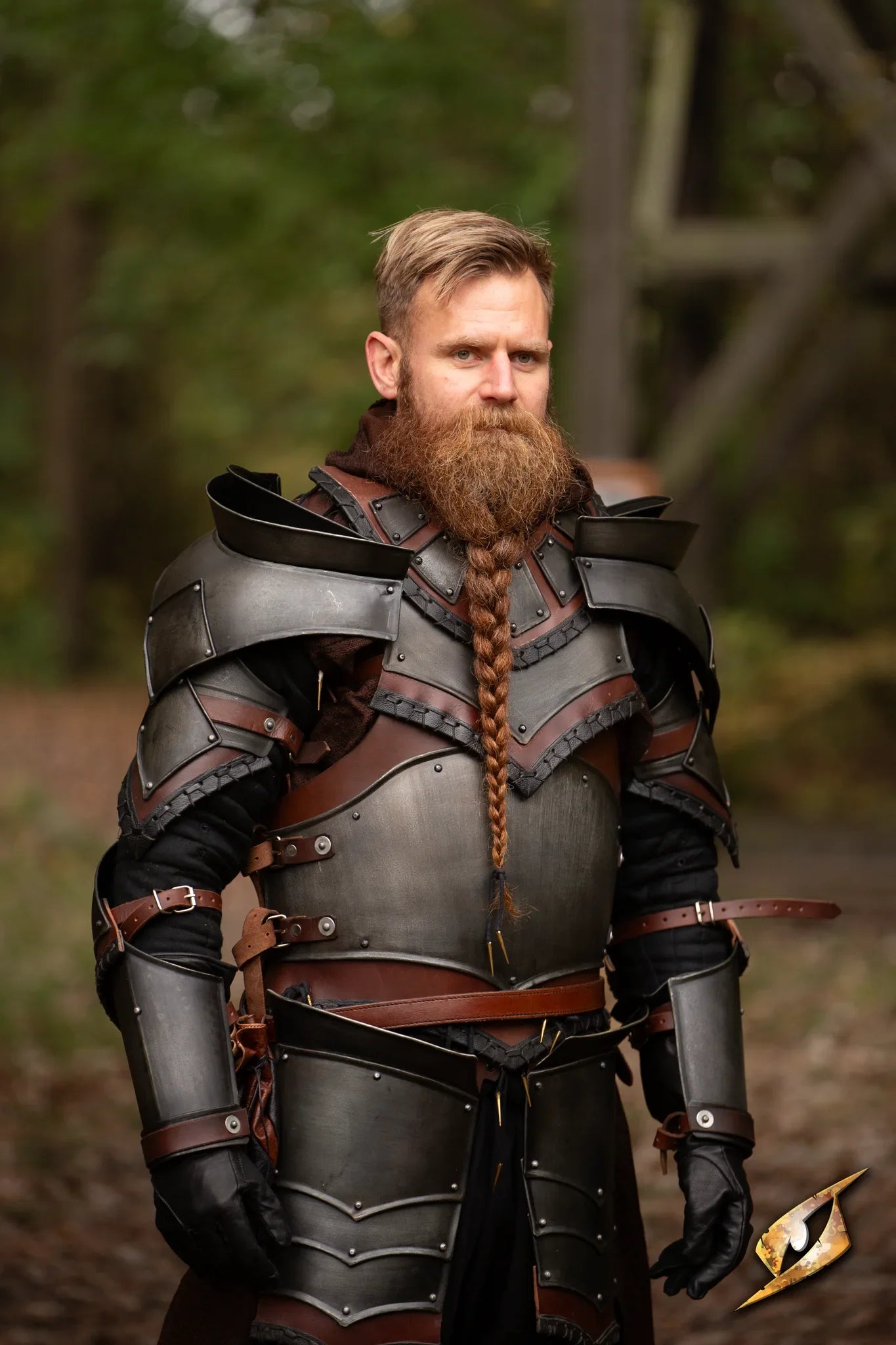 Rogue Complete Armour