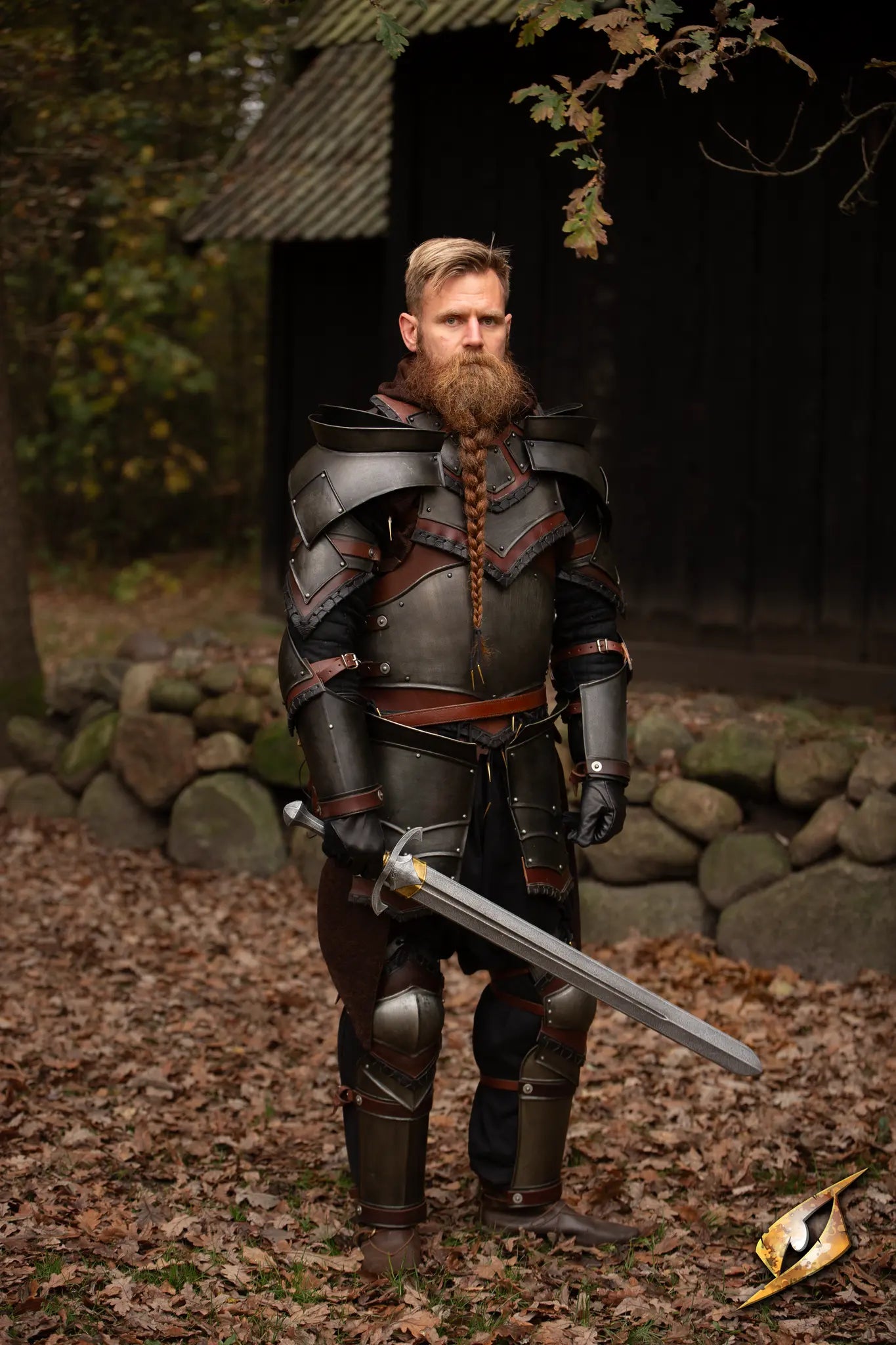 Rogue Complete Armour