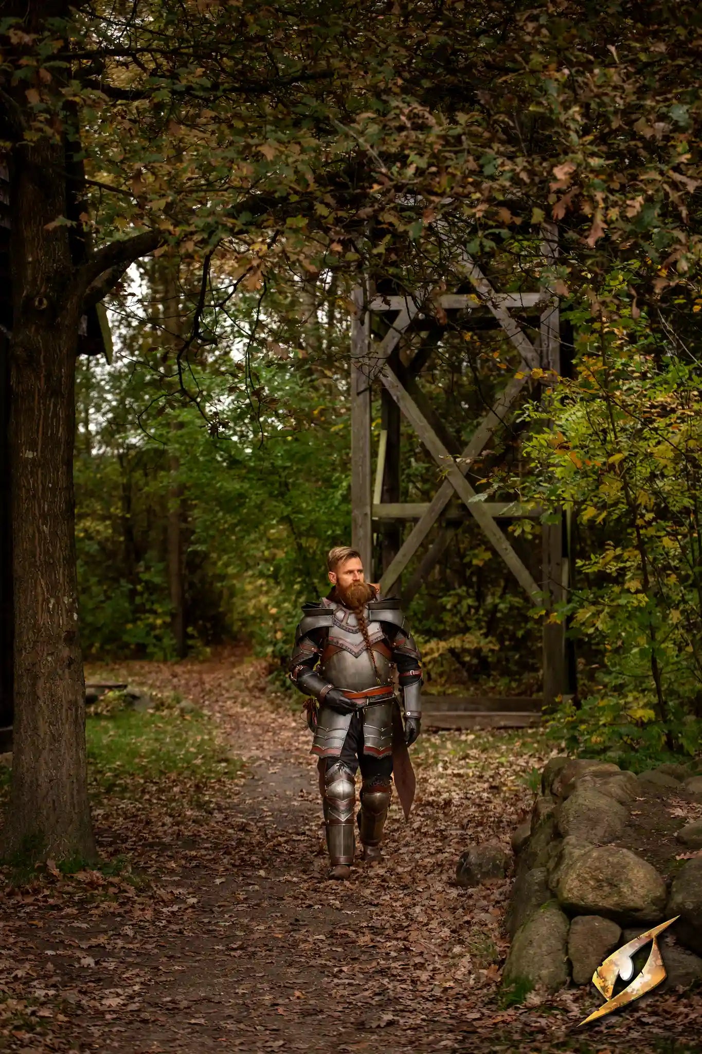 Rogue Complete Armour