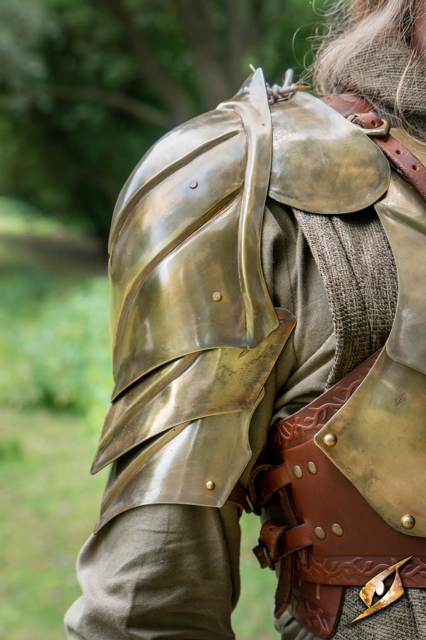 Illumine Shoulder