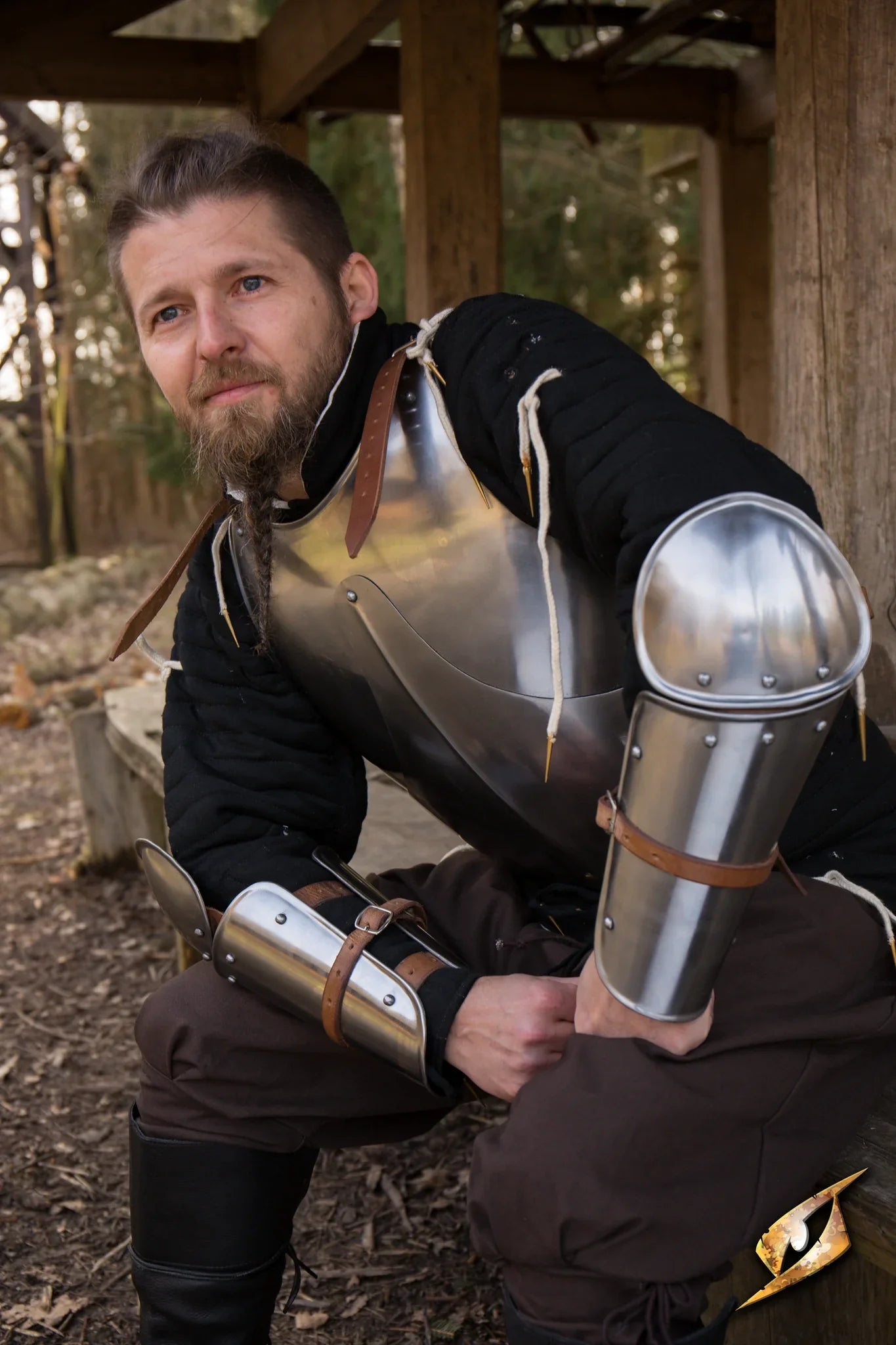 Enclosed Arm Protection - Polished Steel