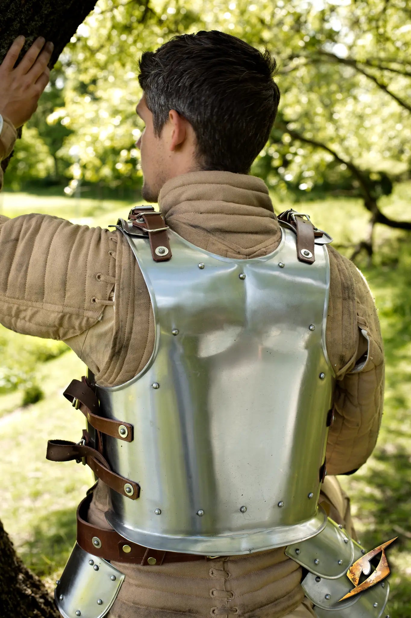 Warrior Complete Armour