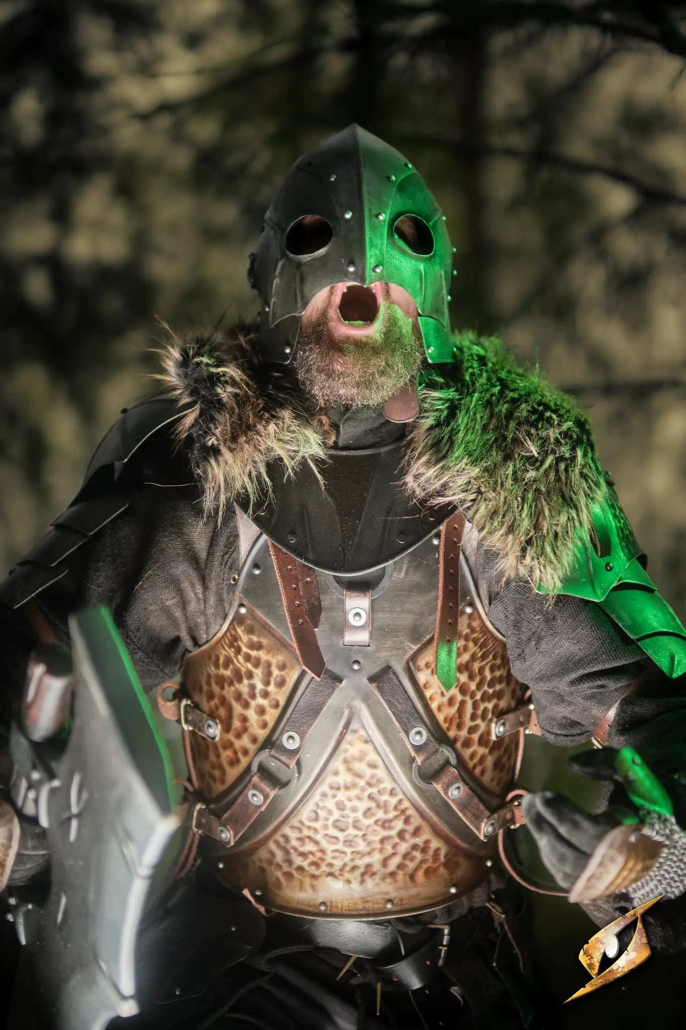 Raider Helmet