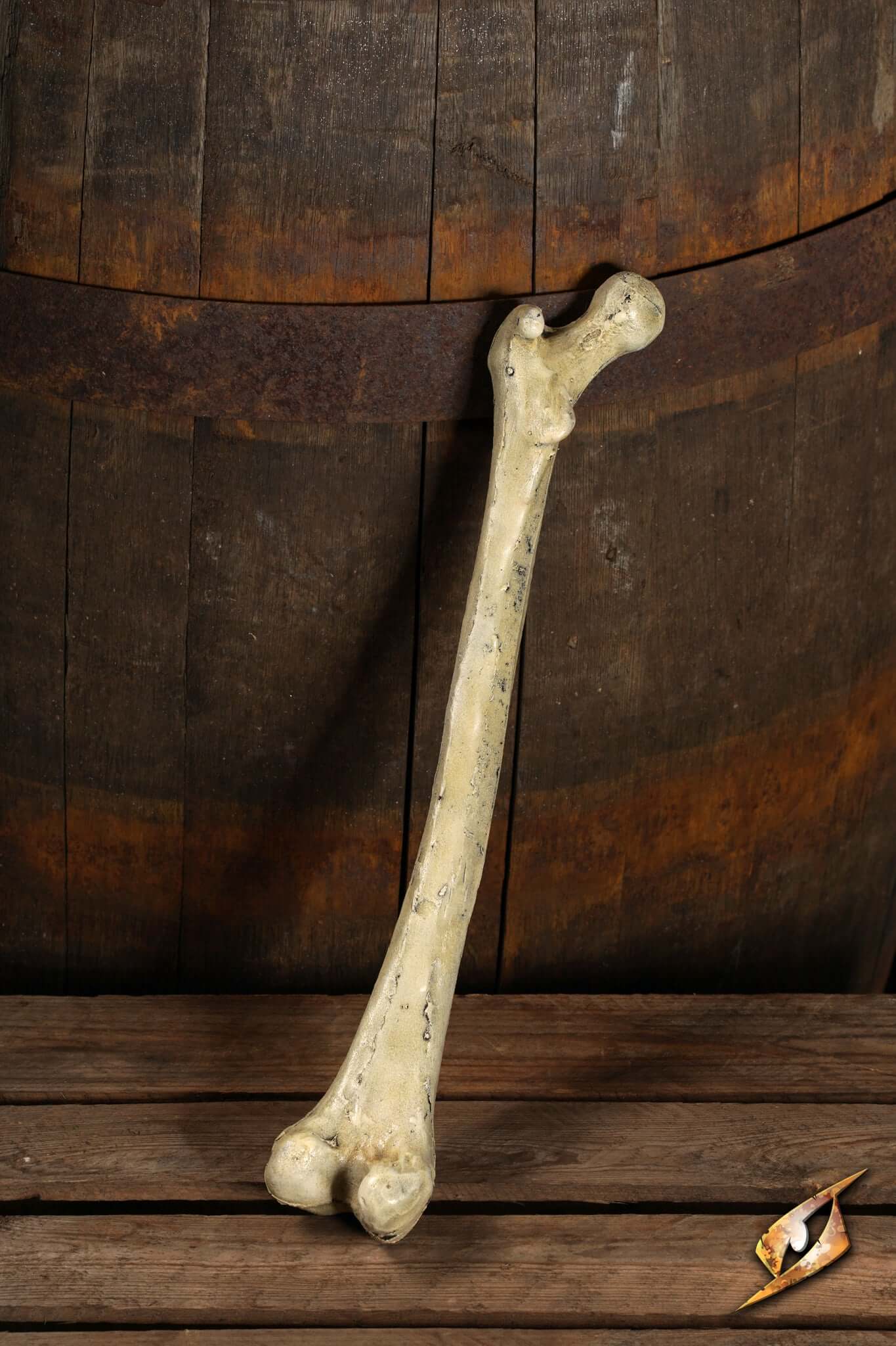 3292 01%20 %20Thigh%20Bone