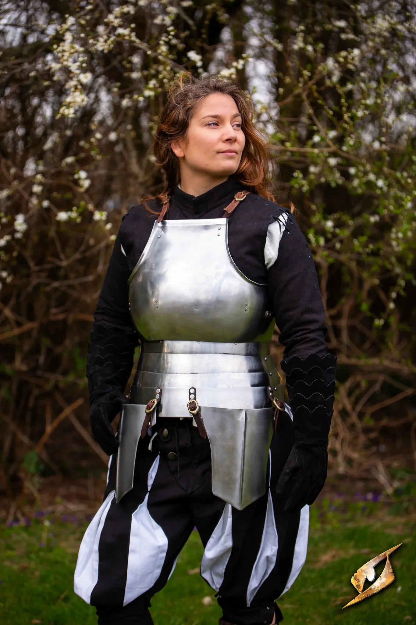 Complete Landsknecht Armour Set