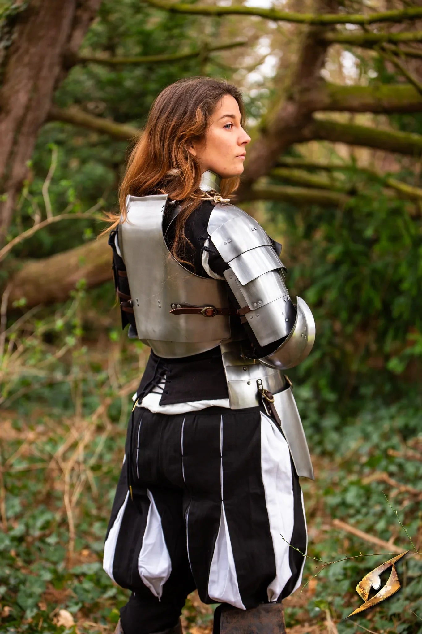 Complete Landsknecht Armour Set