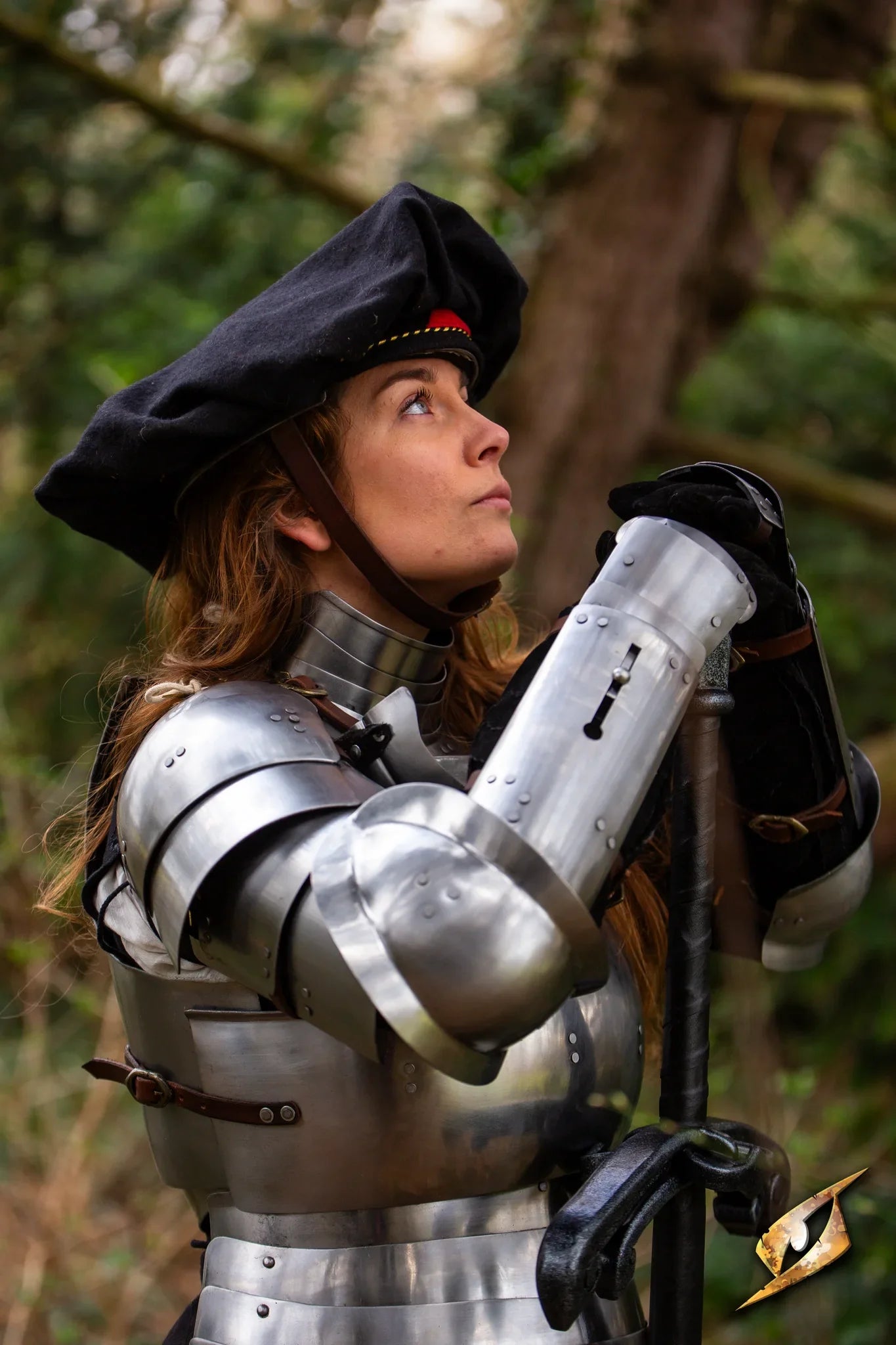 Complete Landsknecht Armour Set