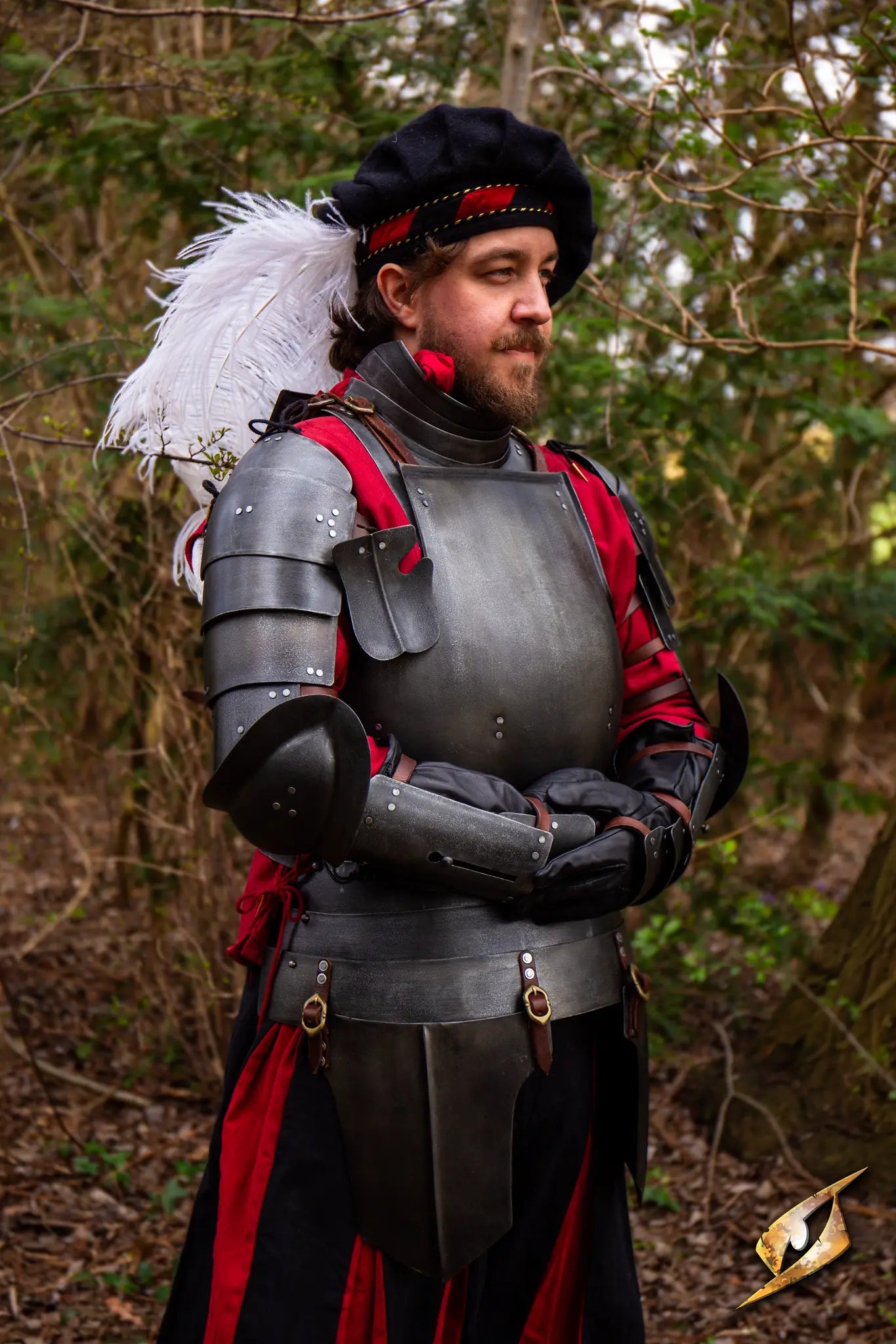 Complete Landsknecht Armour Set