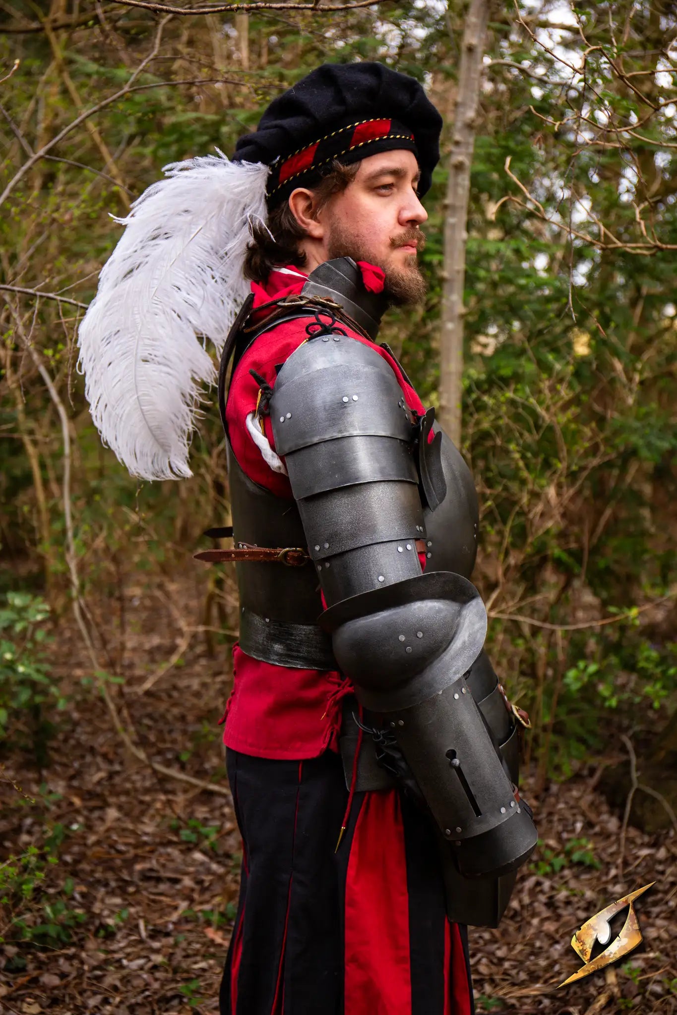 Complete Landsknecht Armour Set