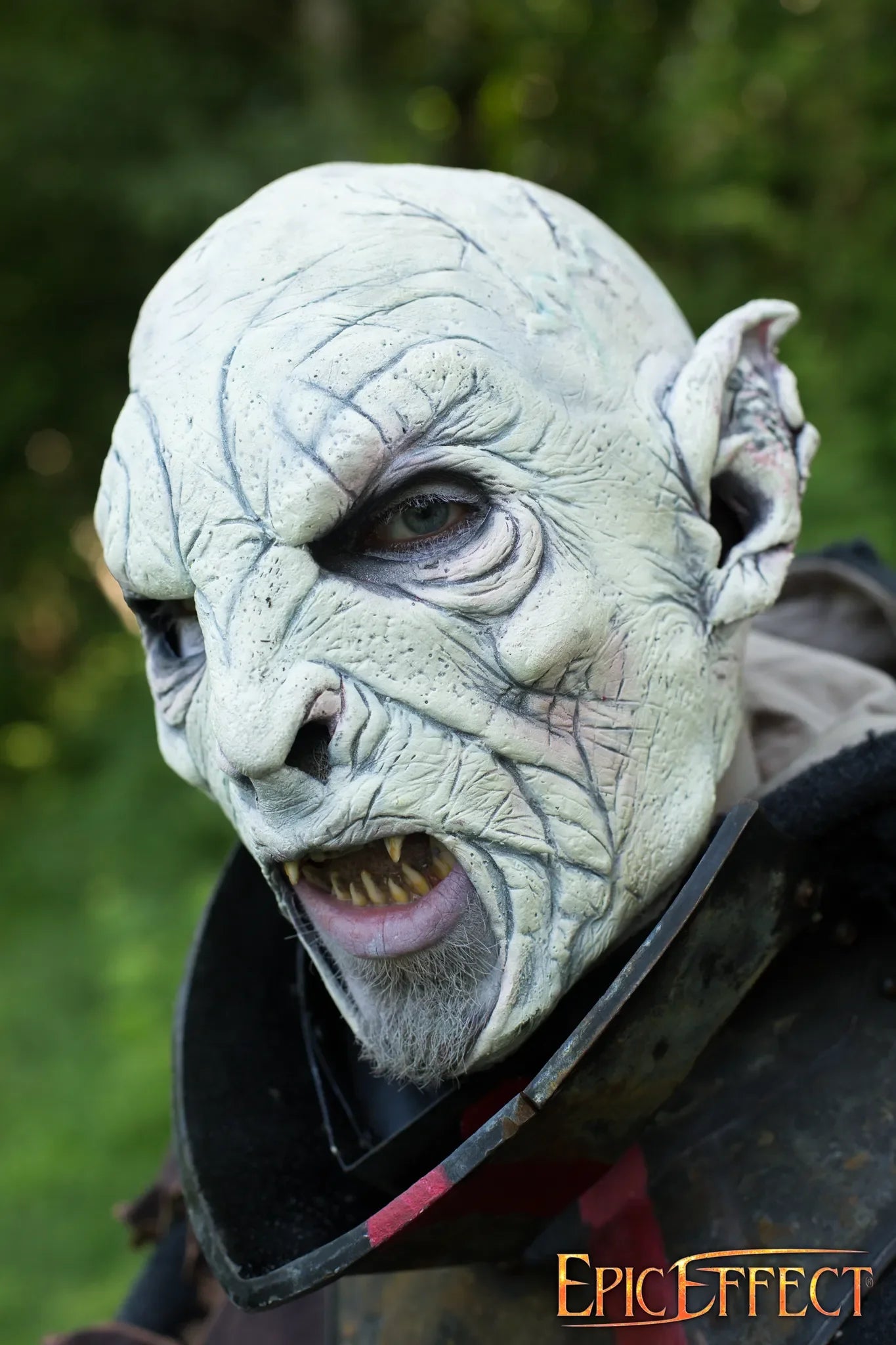 Beastial Orc