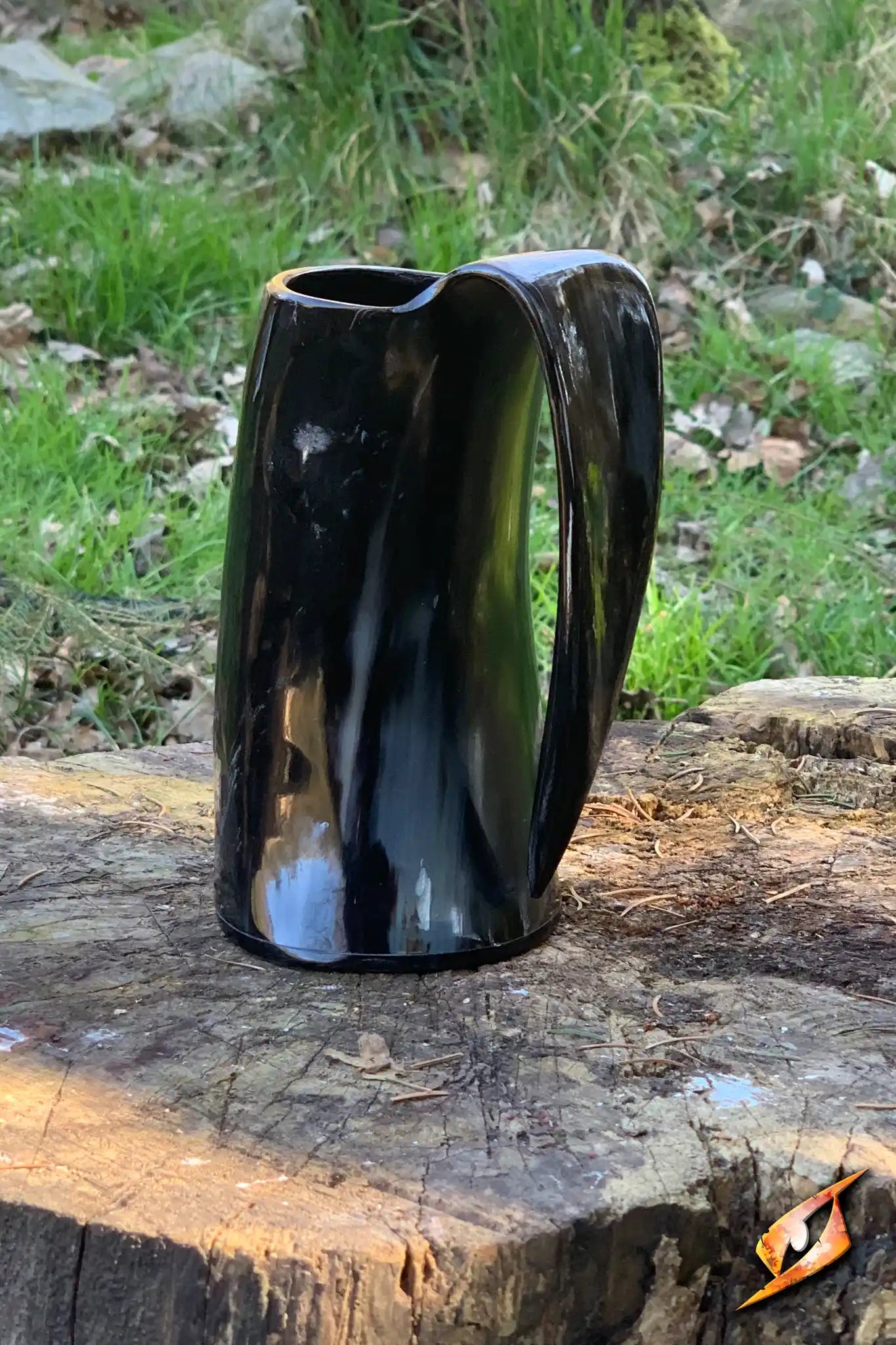Vegvisir Mug - 0.5L