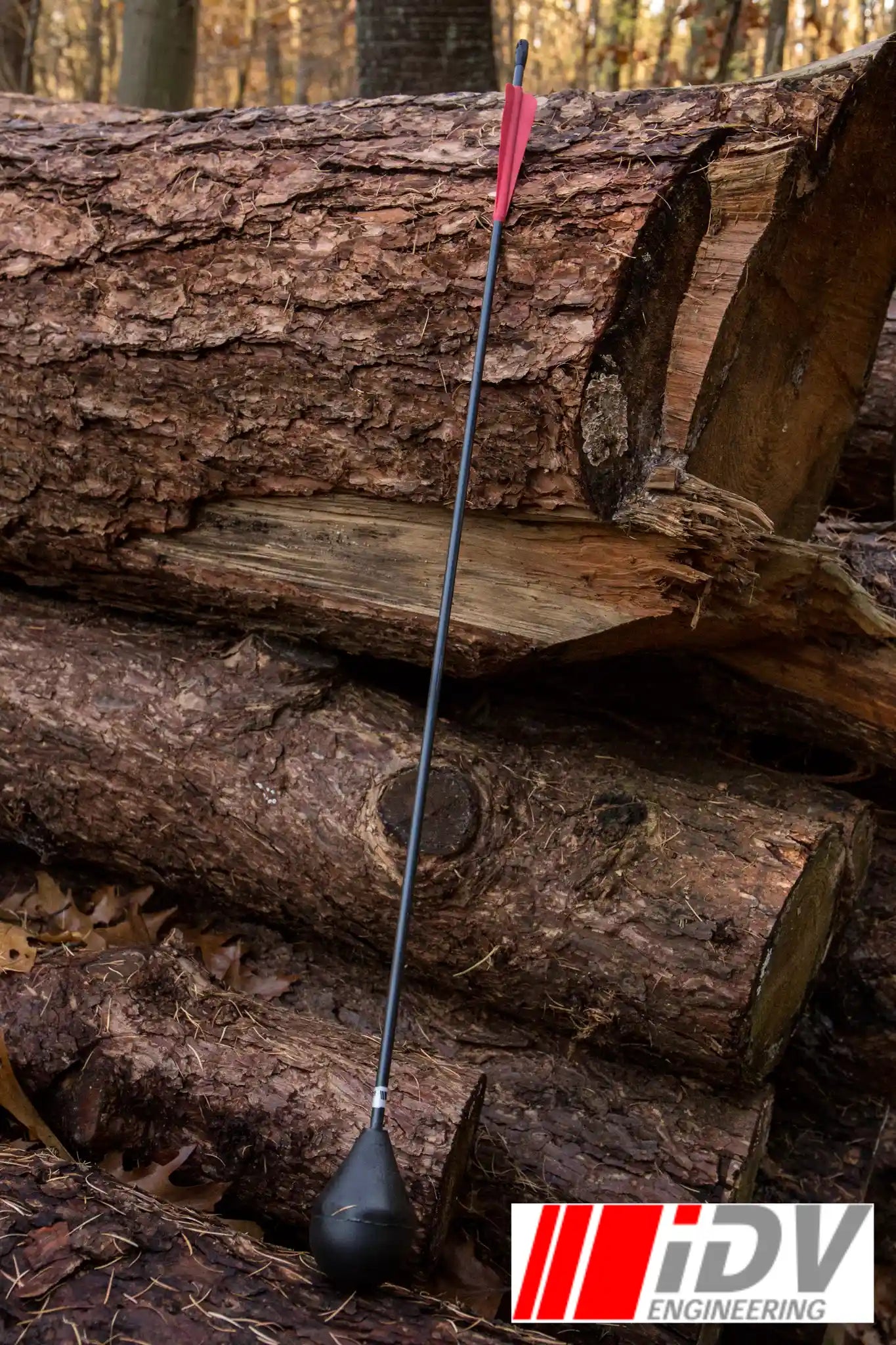 Arrow - Round Head - Black Shaft leaning against stacked logs in a forest setting.