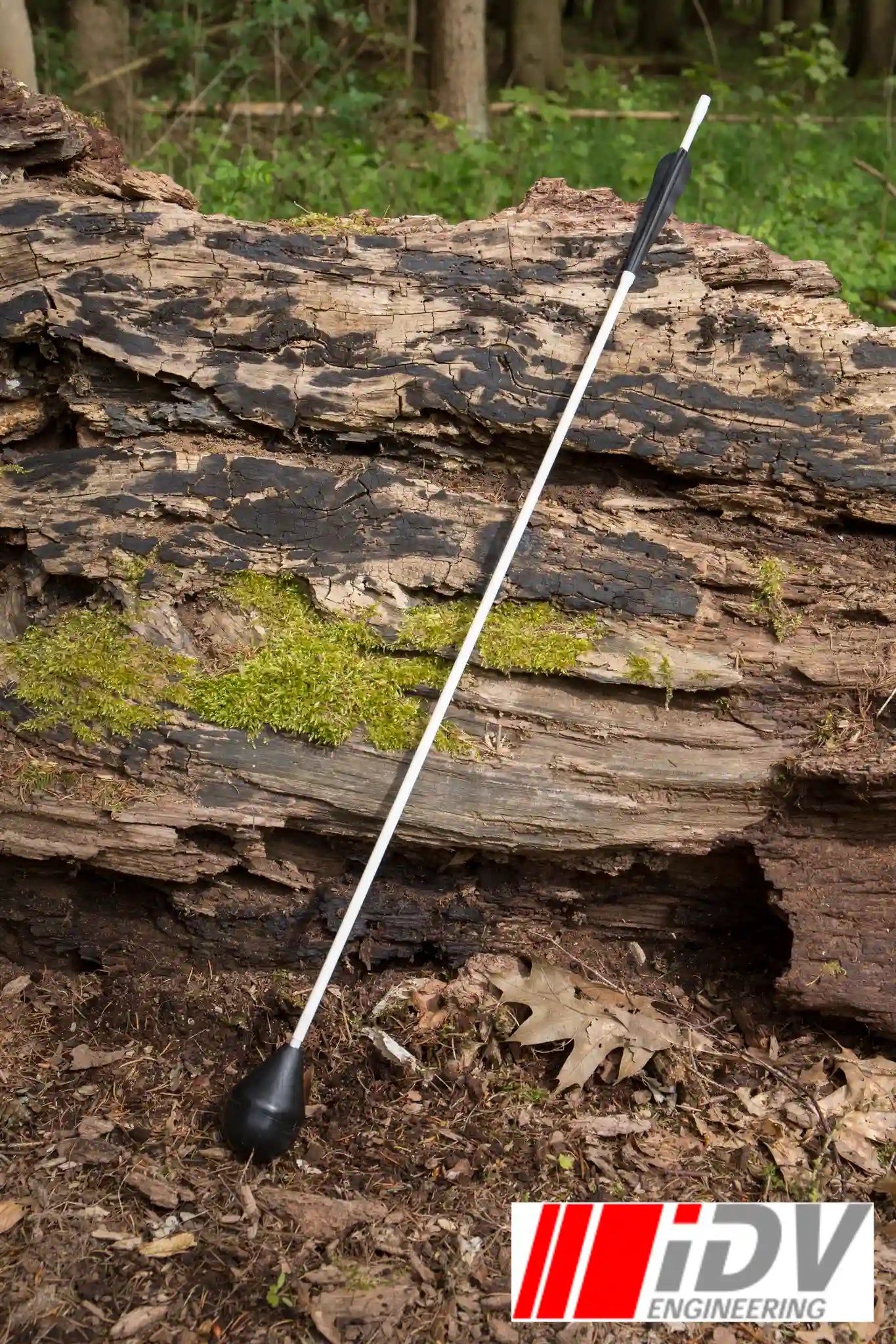 Arrow - Round Head - Sleeved resting on a mossy log in a forest setting, showcasing its sleek design.