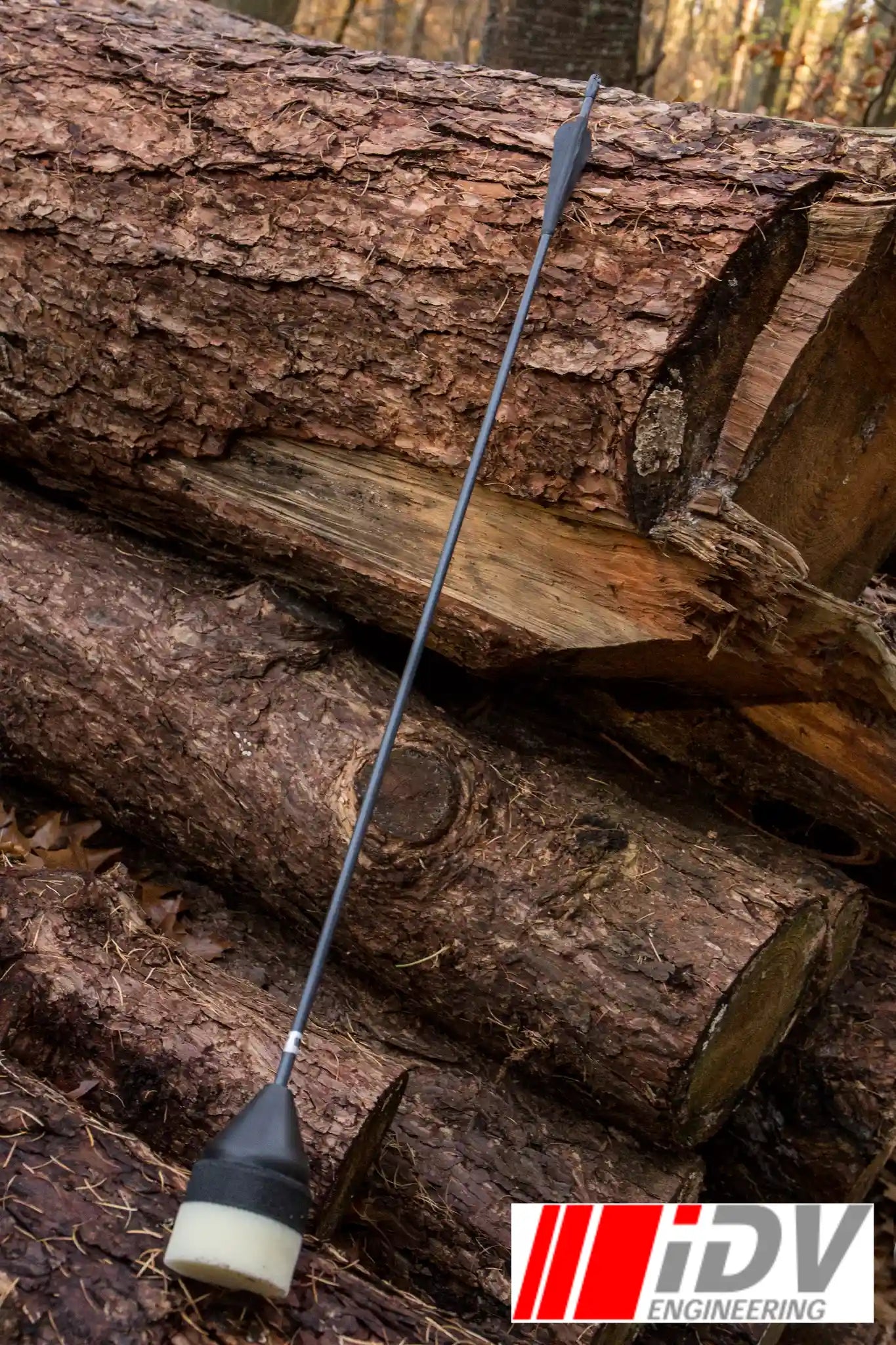 Arrow - Flat Head - Black Shaft resting on logs in a forest setting, showcasing its sleek design and functionality.