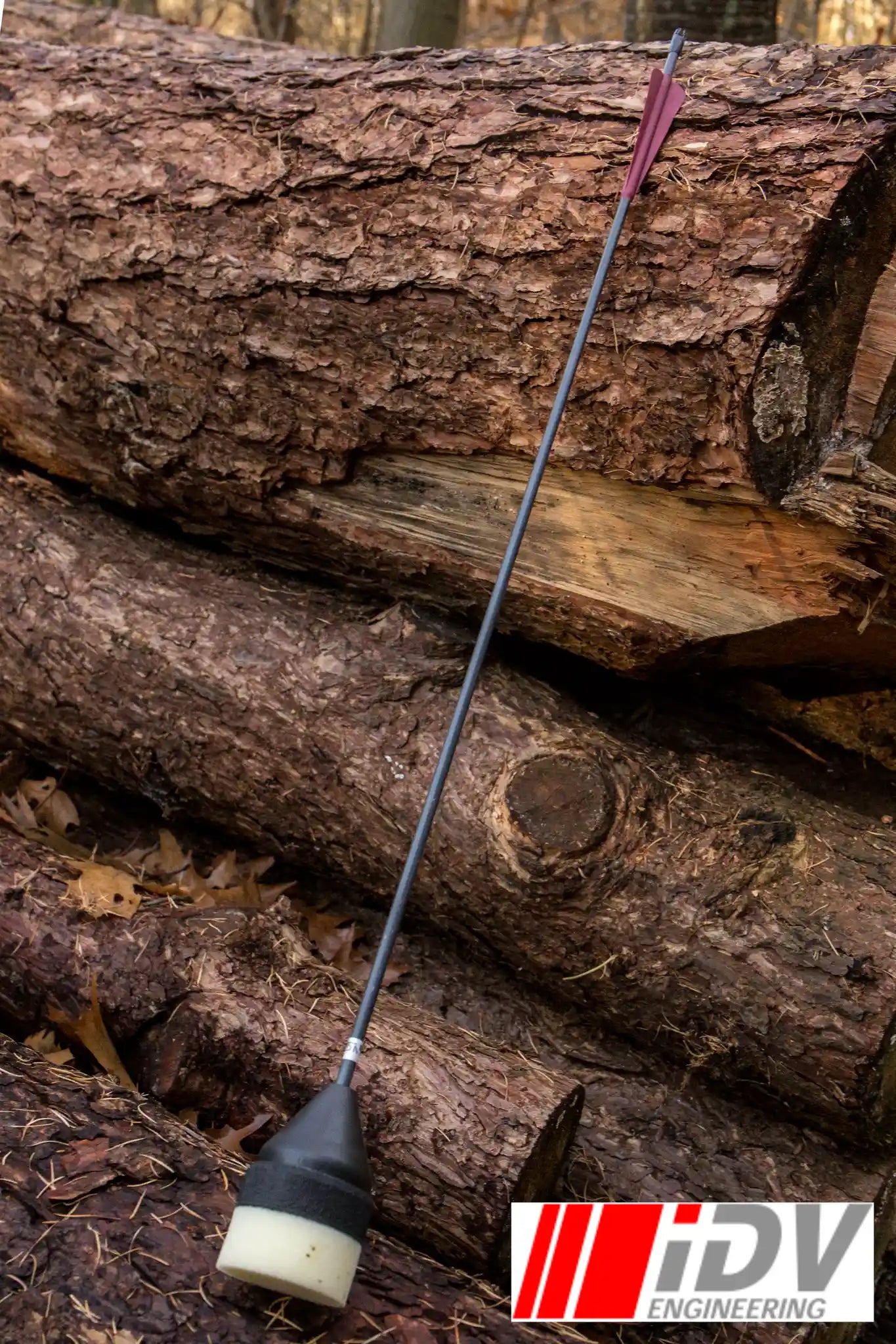 Arrow - Flat Head - Black Shaft displayed next to logs in an outdoor setting.
