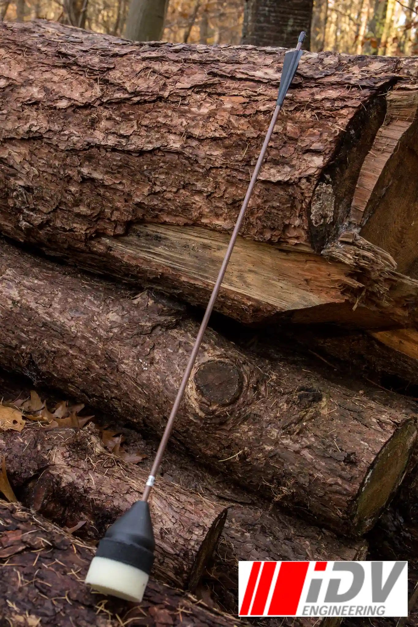 Arrow - Flat Head - Brown Shaft resting against logs in a forest setting.