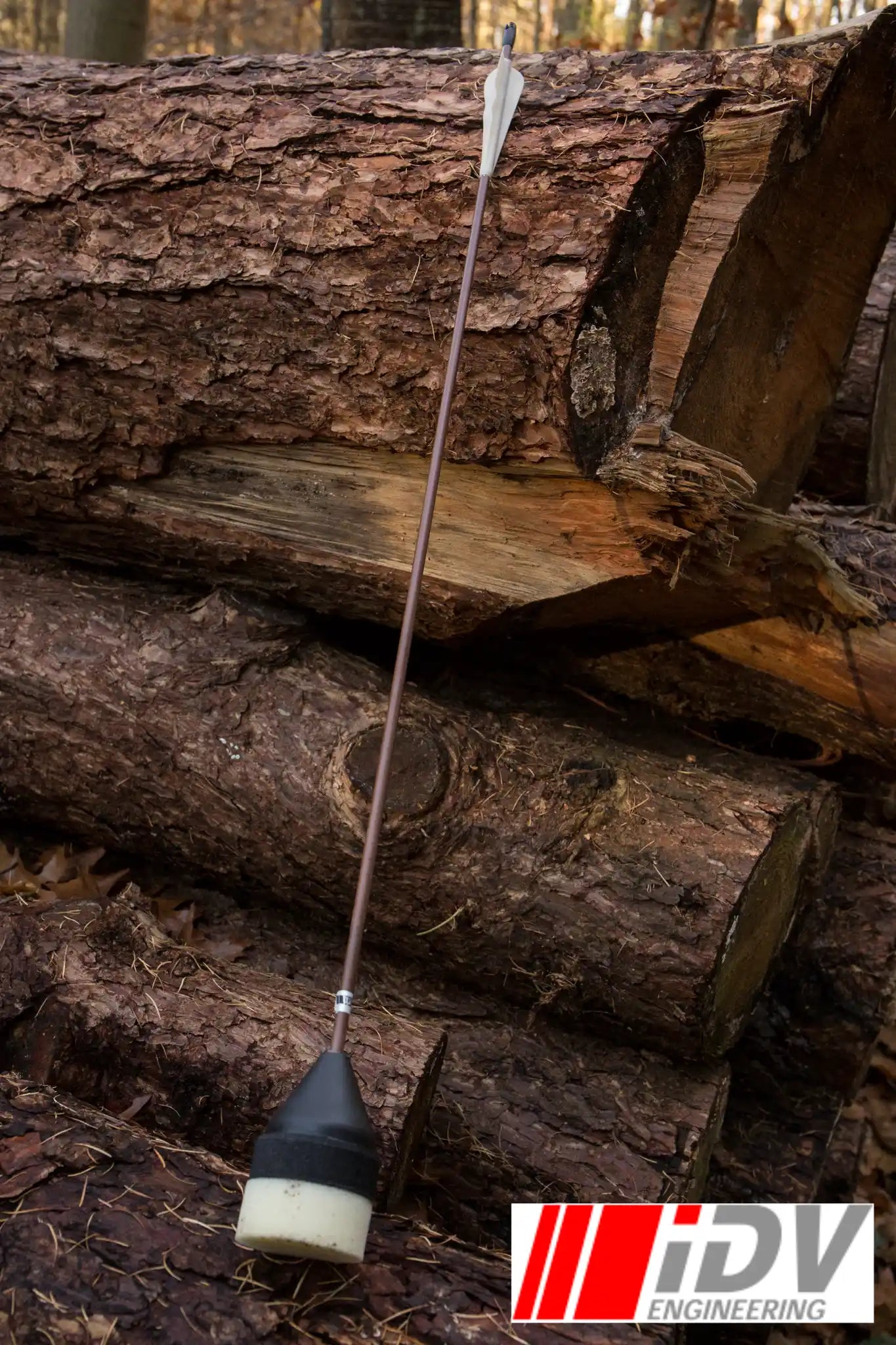 Arrow - Flat Head - Brown Shaft leaning against logs in a forest setting.