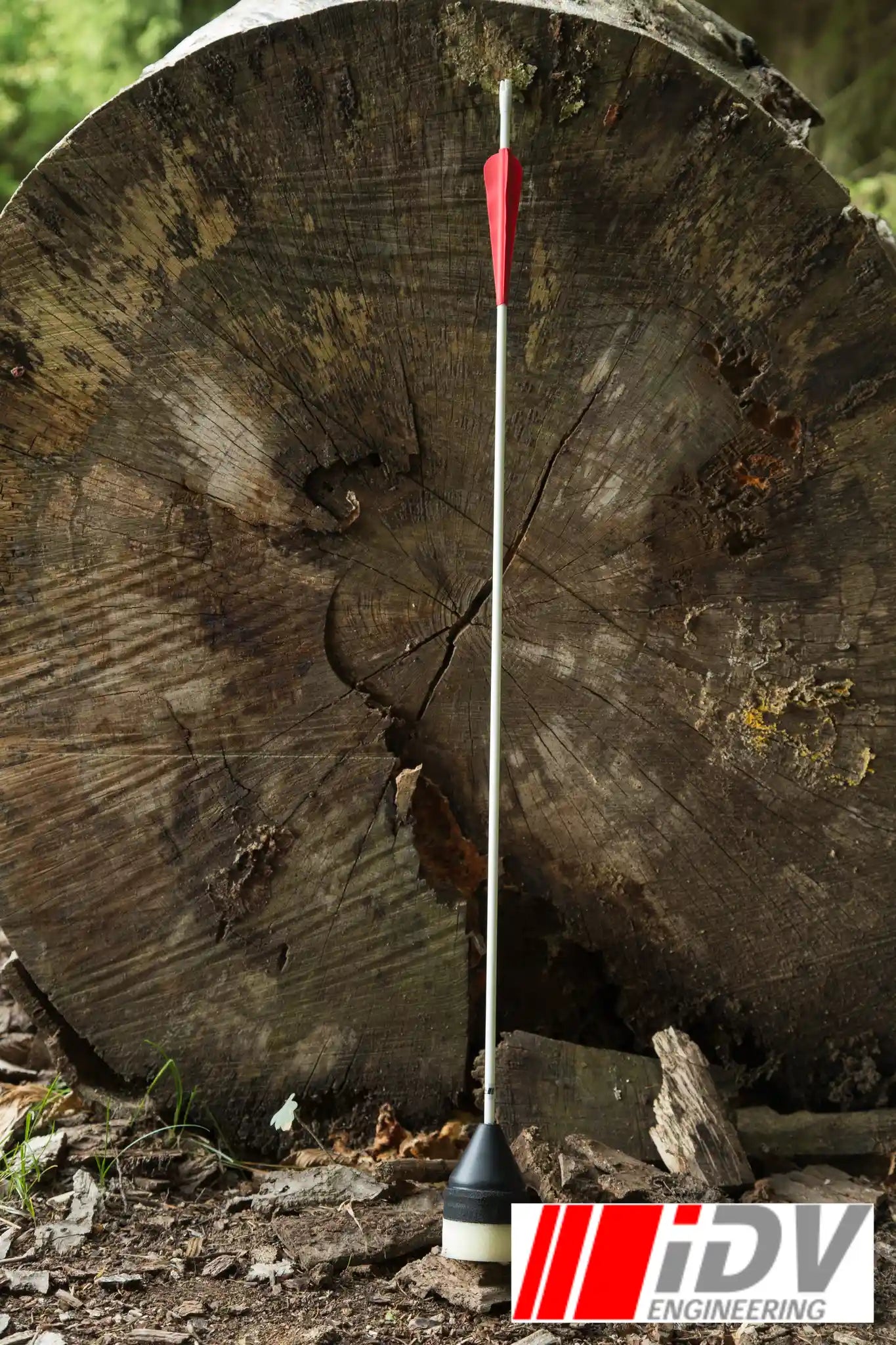 Arrow - Flat Head - White Shaft standing against a tree stump, showcasing its sleek design and vibrant color.