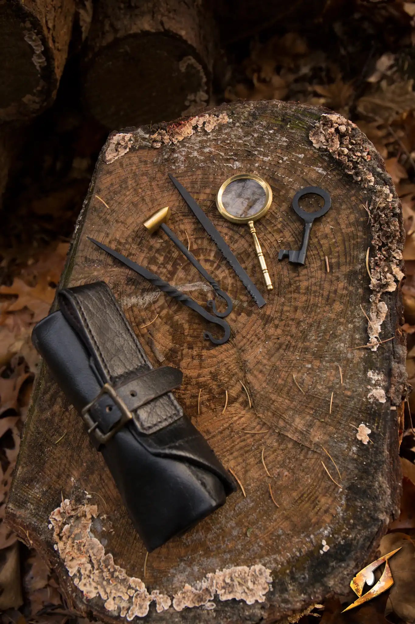 Thieves Tools laid out on a wooden stump, including a leather pouch and various pick tools.