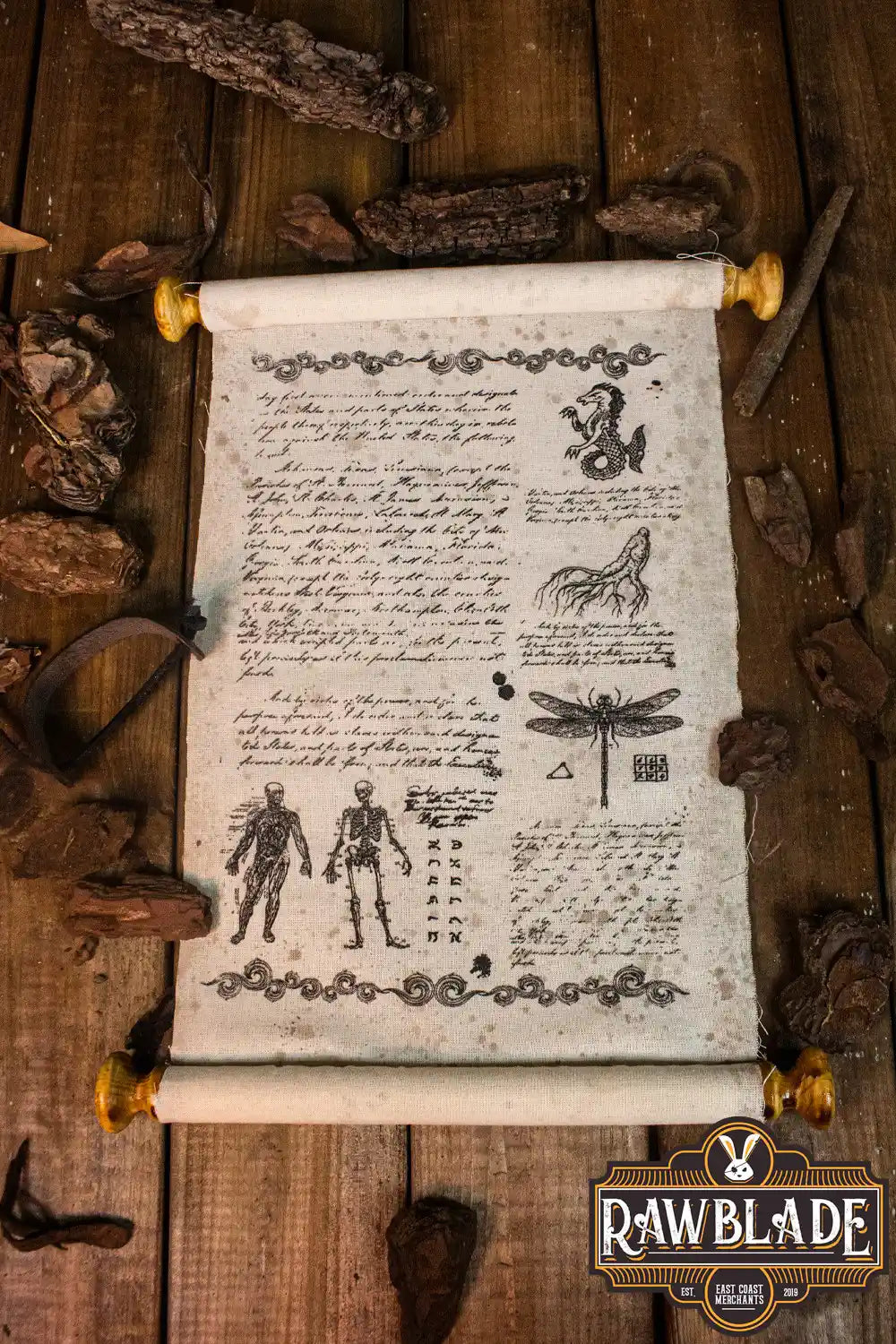 Scholar Scroll With Leather Strap