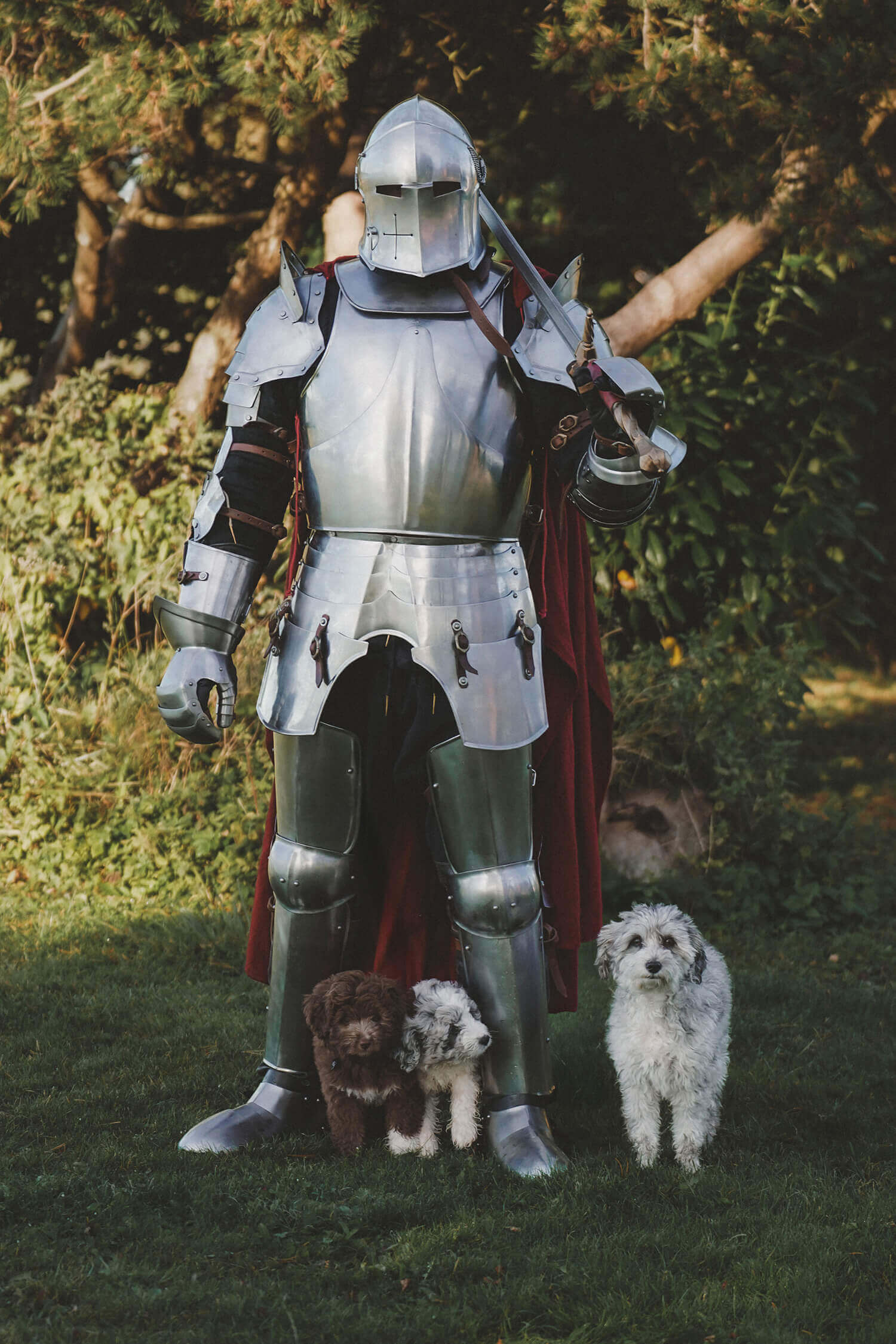 Suits of Armor displayed by a knight standing in a garden with two small dogs beside him.
