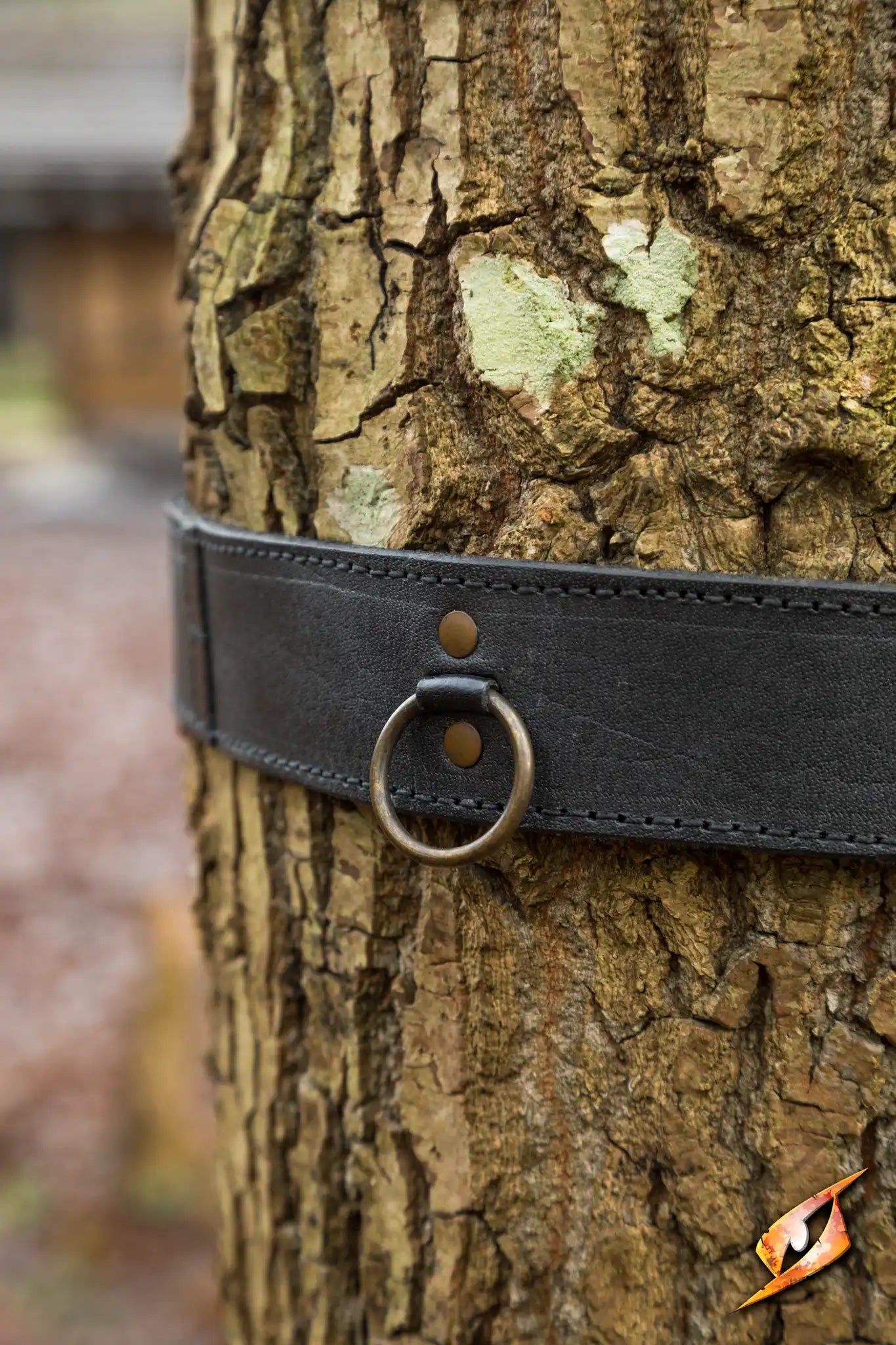 Ring Belt