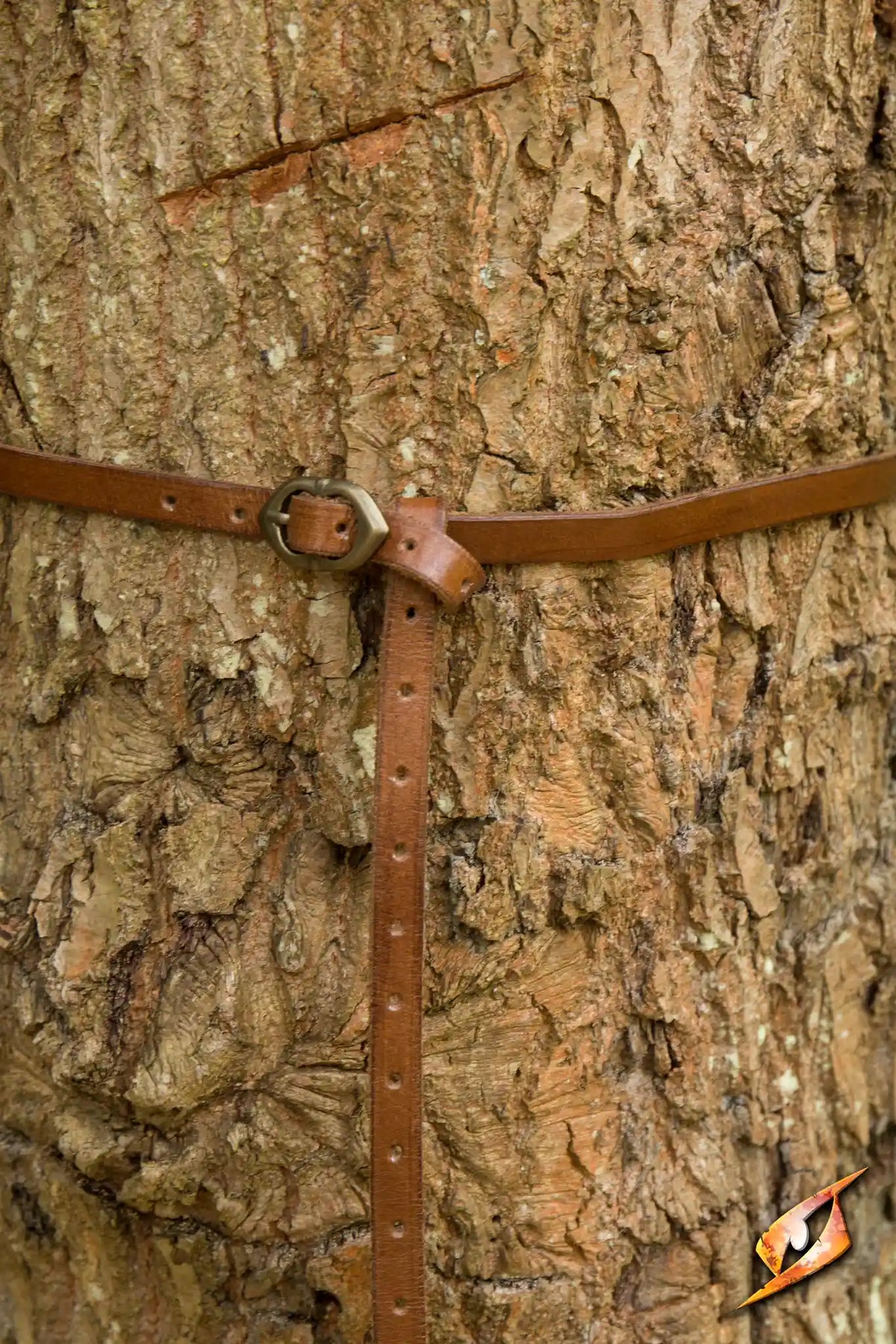 Belt Godfrey handcrafted brown leather belt wrapped around a tree, showcasing its durability and style.