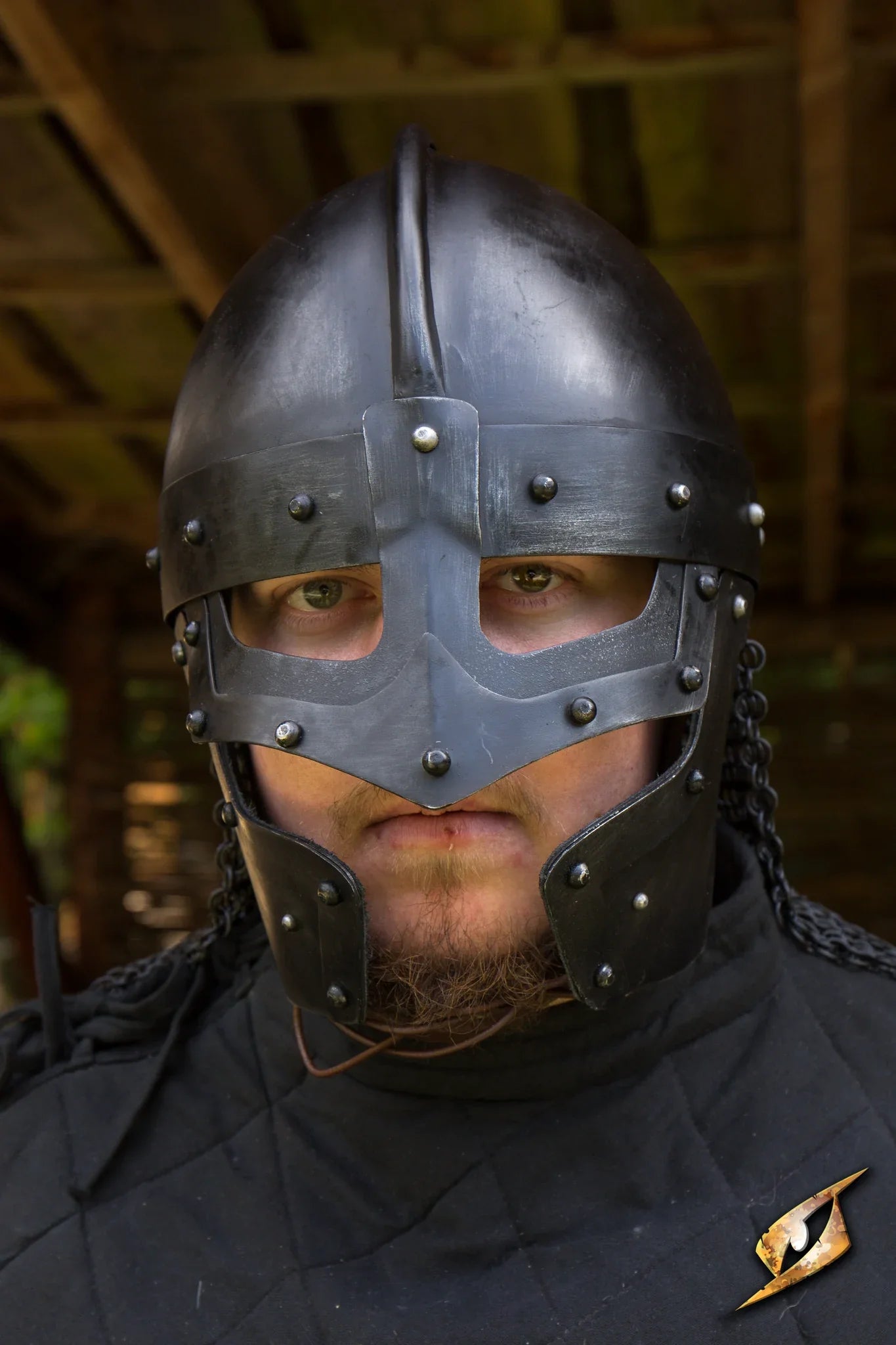 Raven Helmet