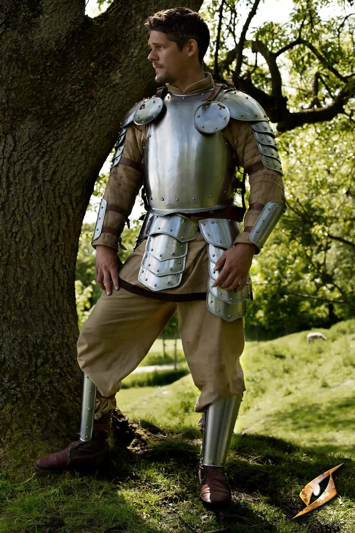 Warrior Complete Armour shown in polished steel design, perfect for LARP and reenactment settings.