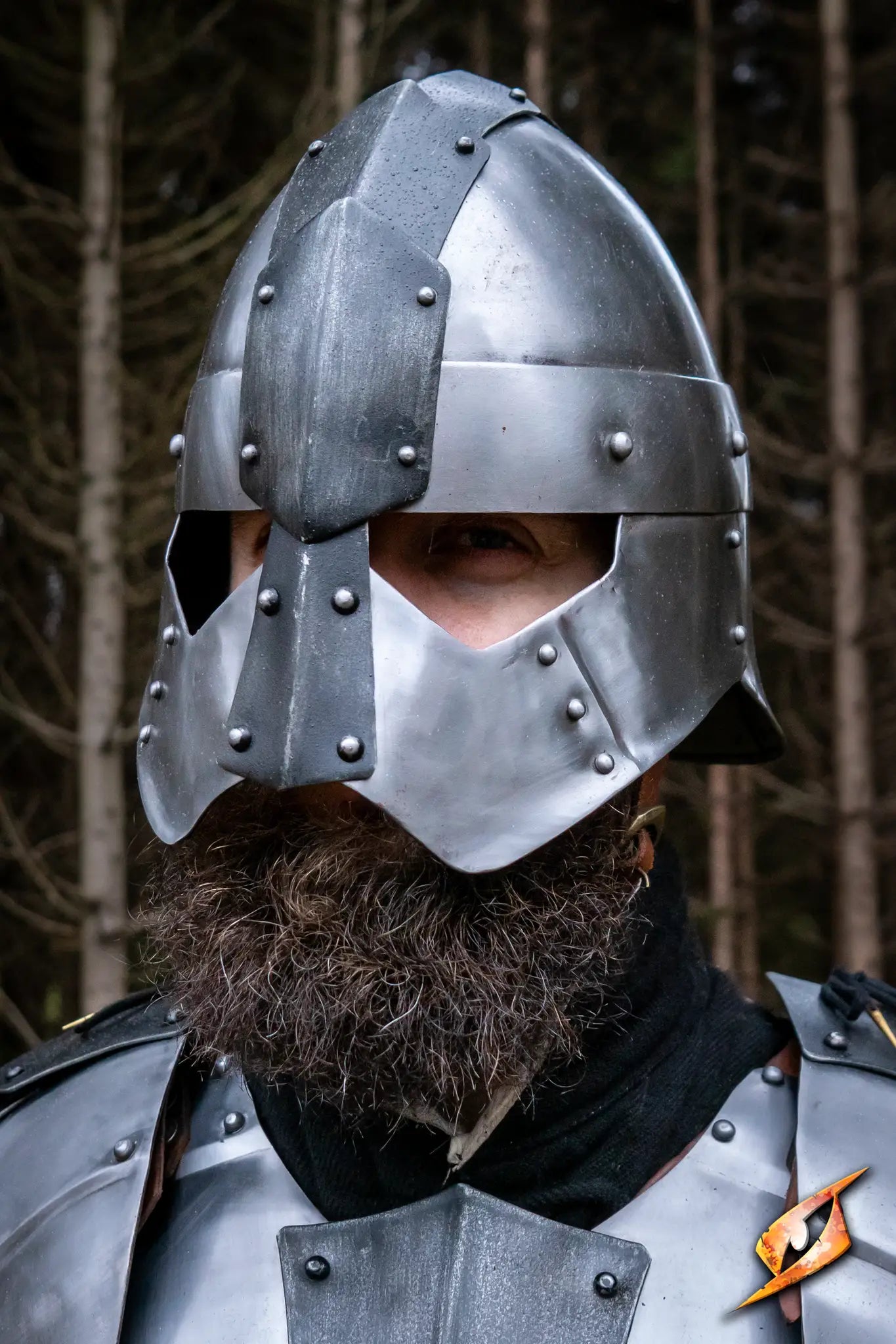 Dreki Helmet