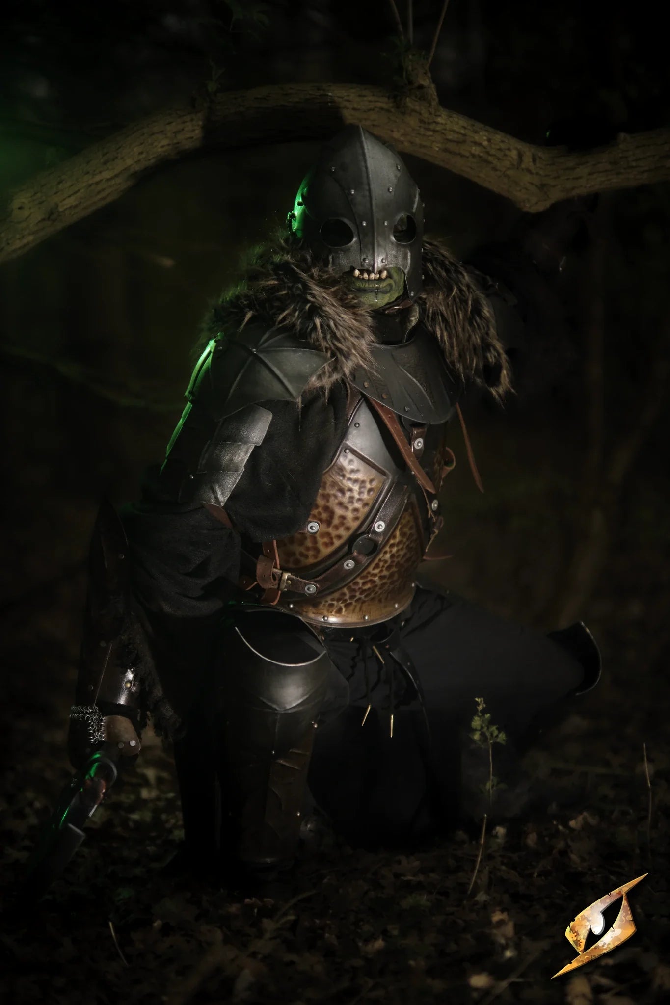 Raider Helmet