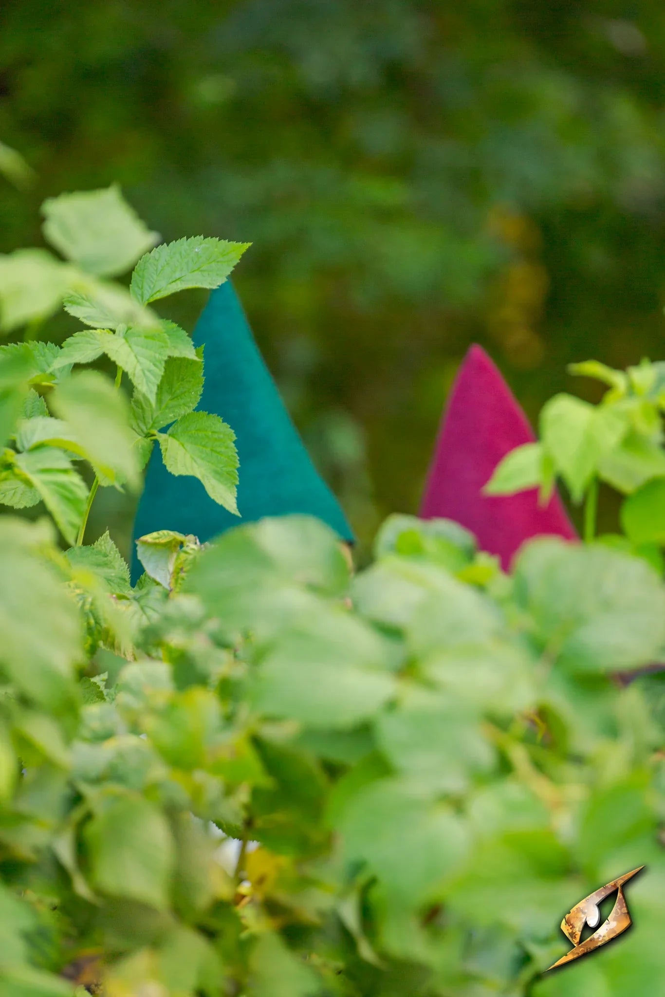 Gnome Hat