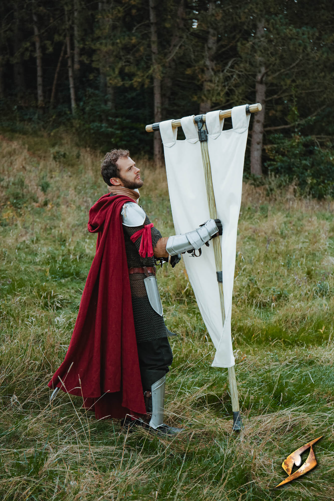 Complete Battle Standard Set - T-Top held by a knight in a red cape on a grassy field.