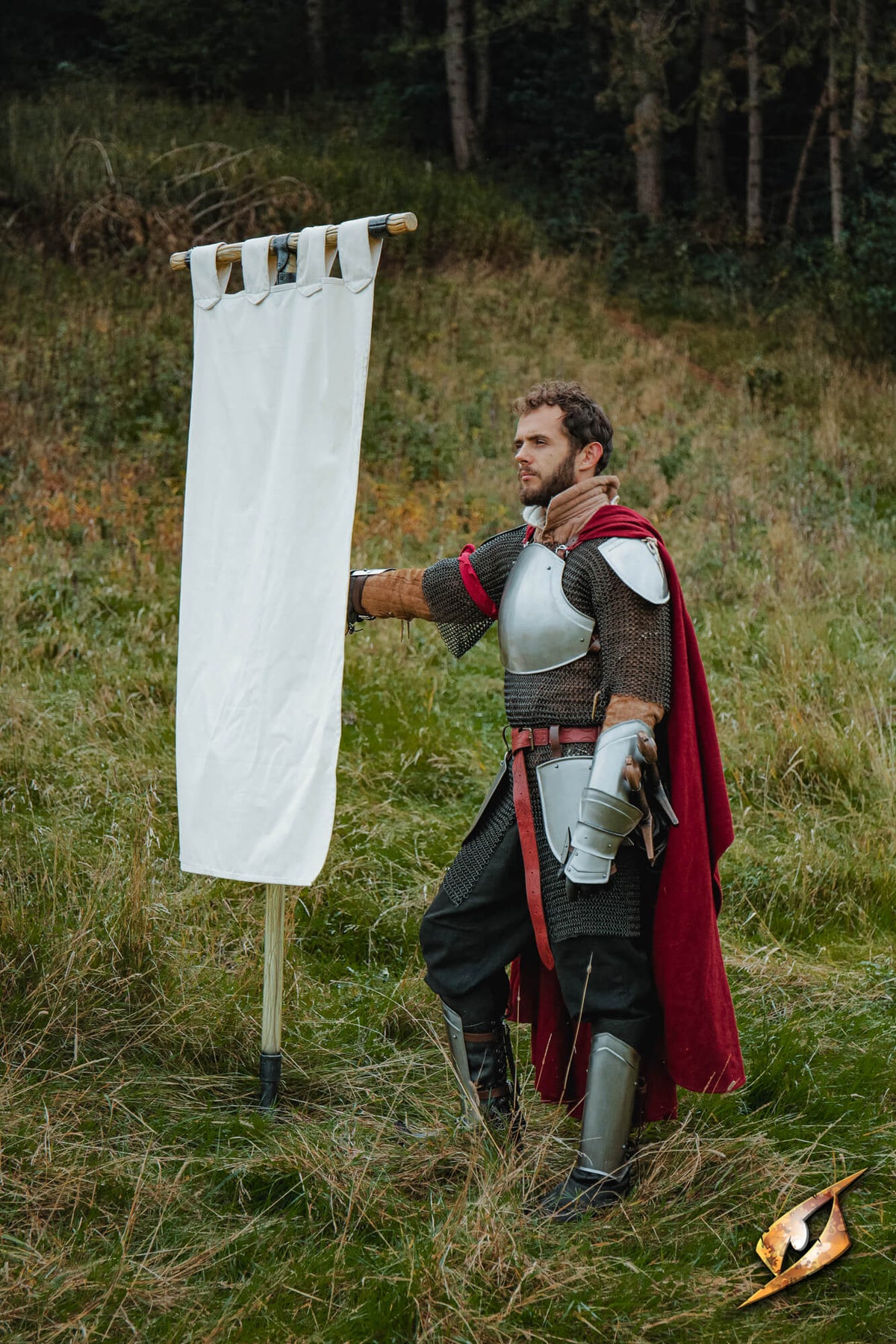 Complete Battle Standard Set - T-Top displayed with a character in armor in a grassy field.