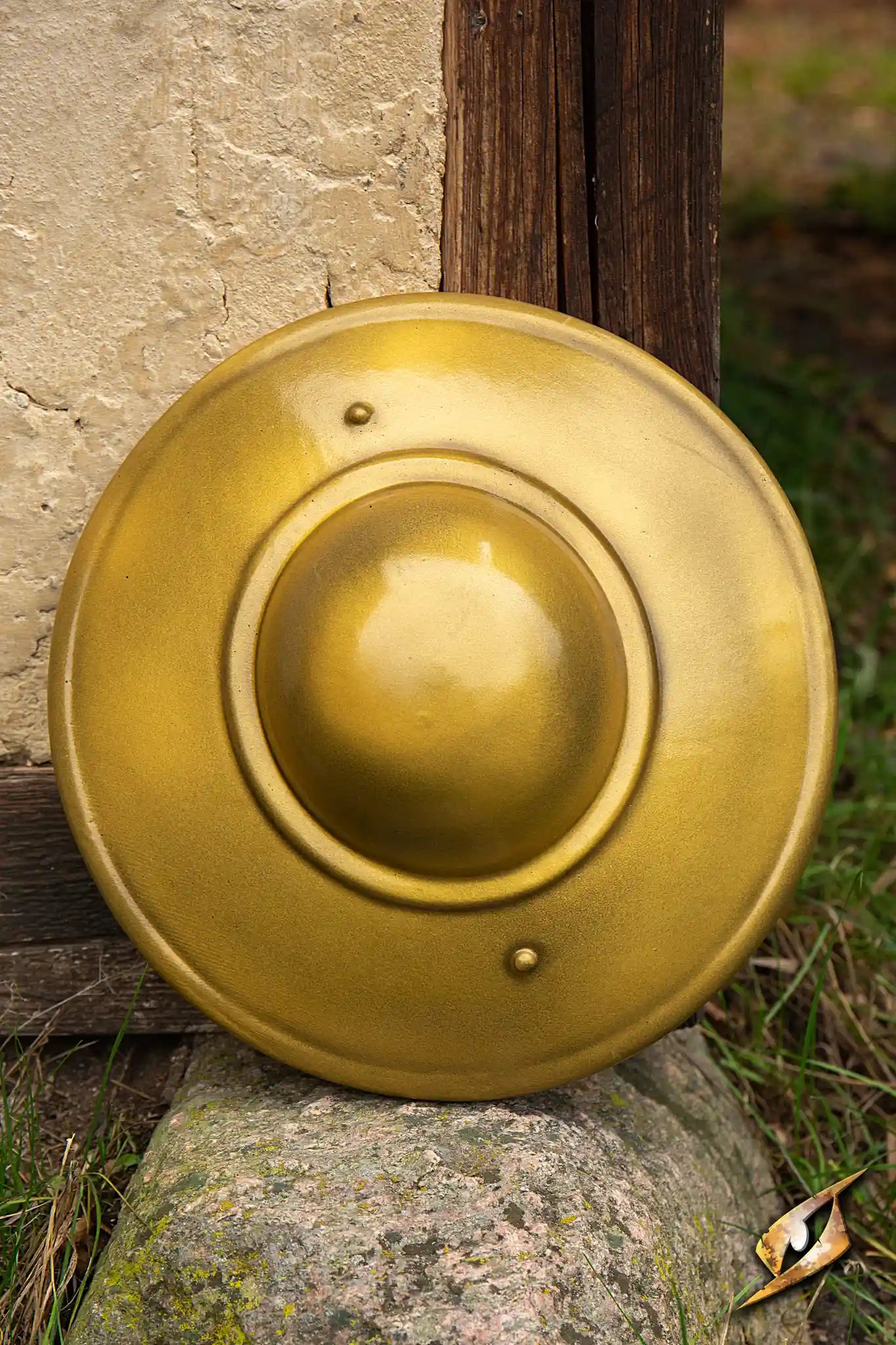 Fencing Buckler