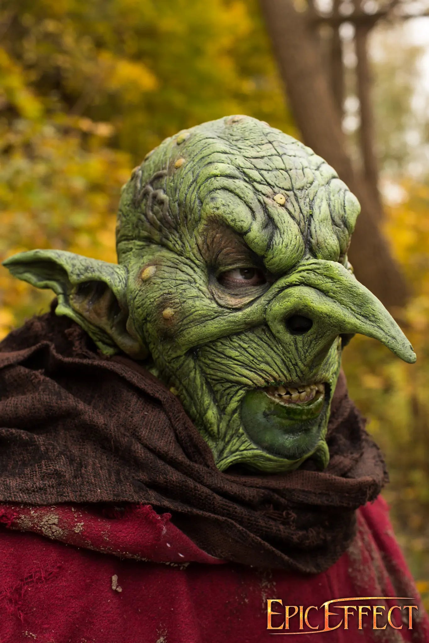 Goblin Overlord