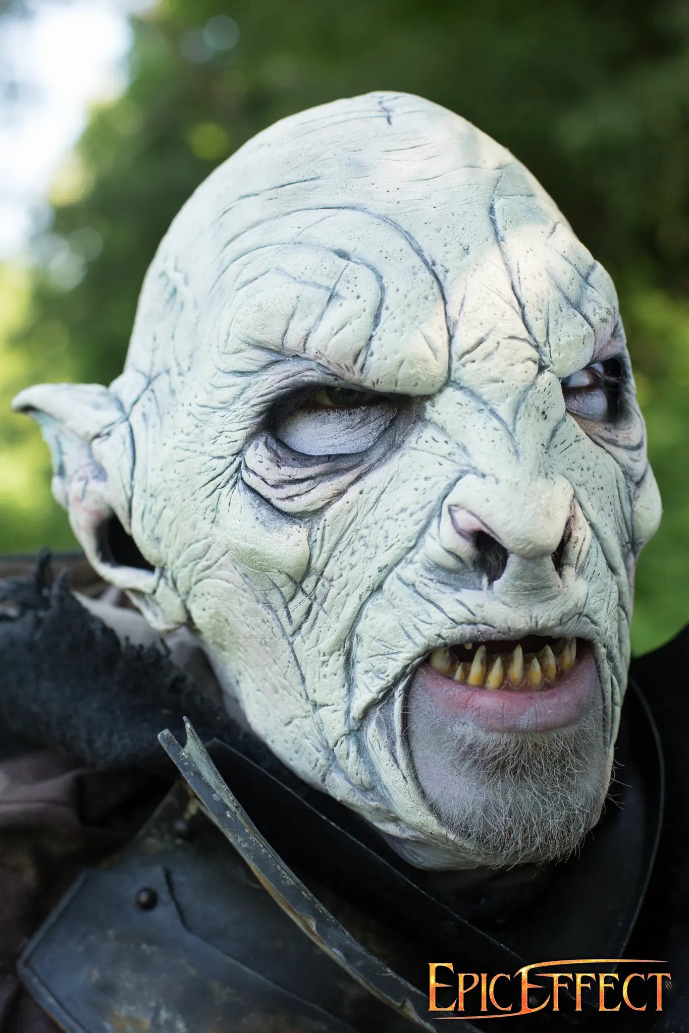 Beastial Orc