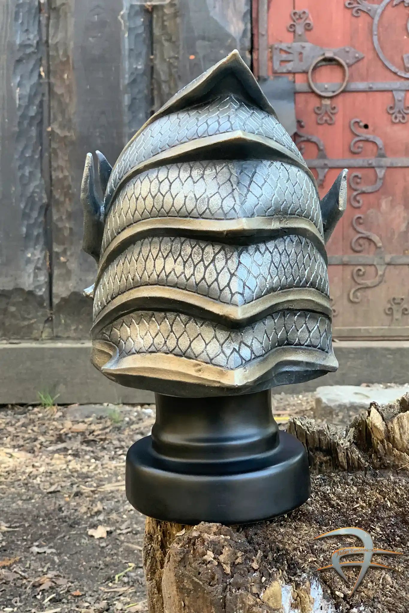 Warrior Helmet - PU
