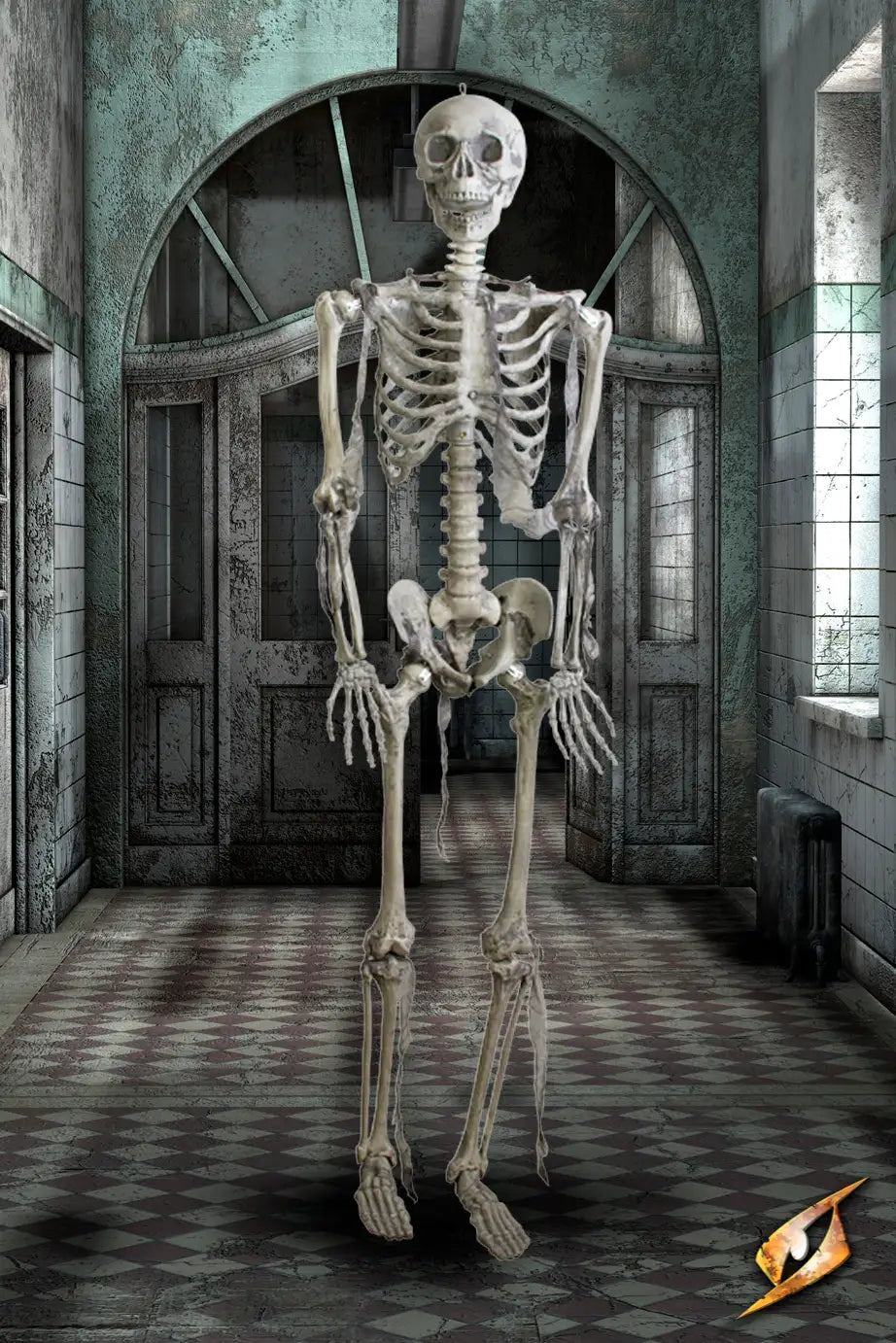 Skeleton Full Size