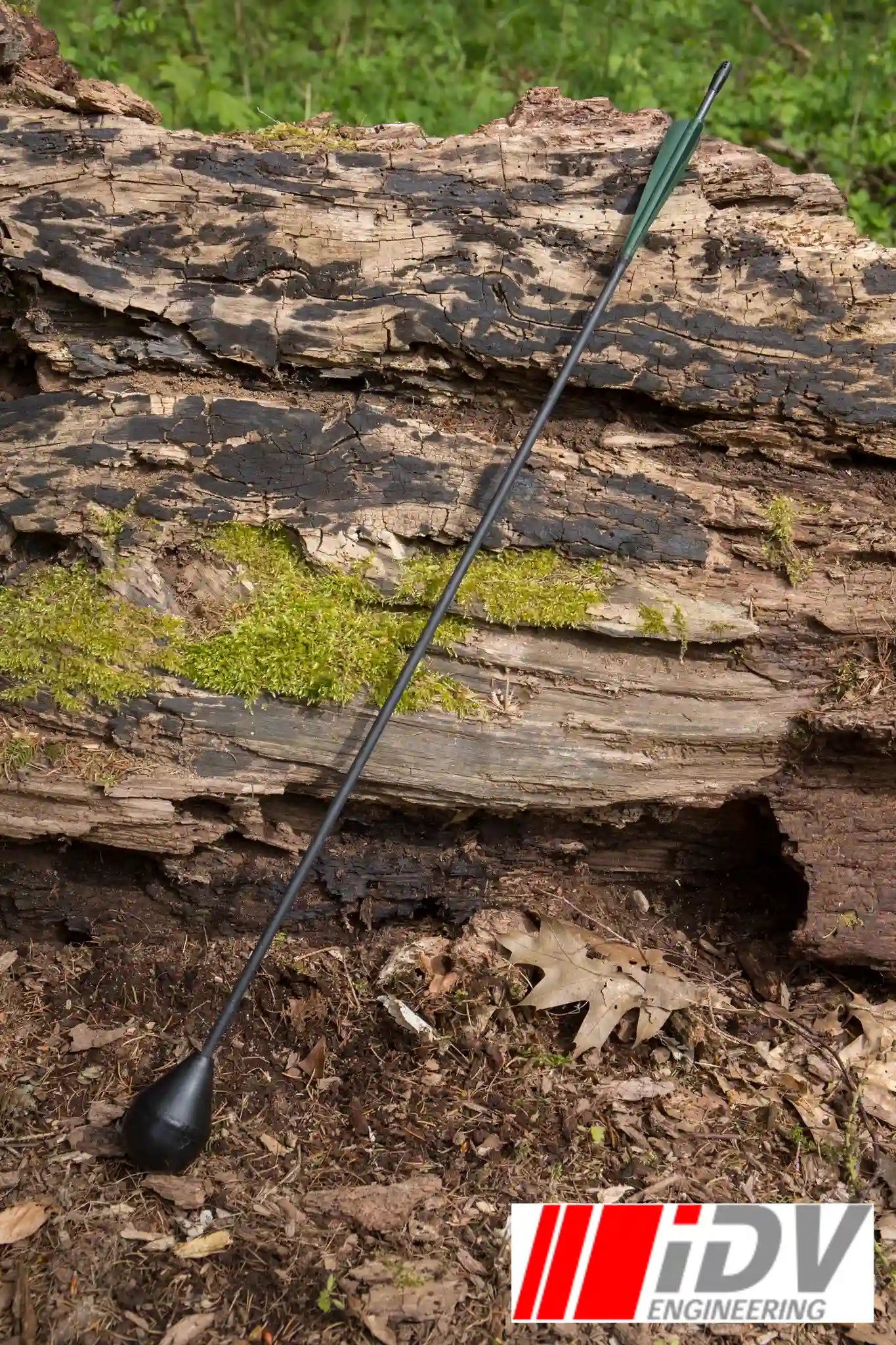 Arrow - Round Head - Sleeved resting on a log in a natural setting, showcasing its design and features.