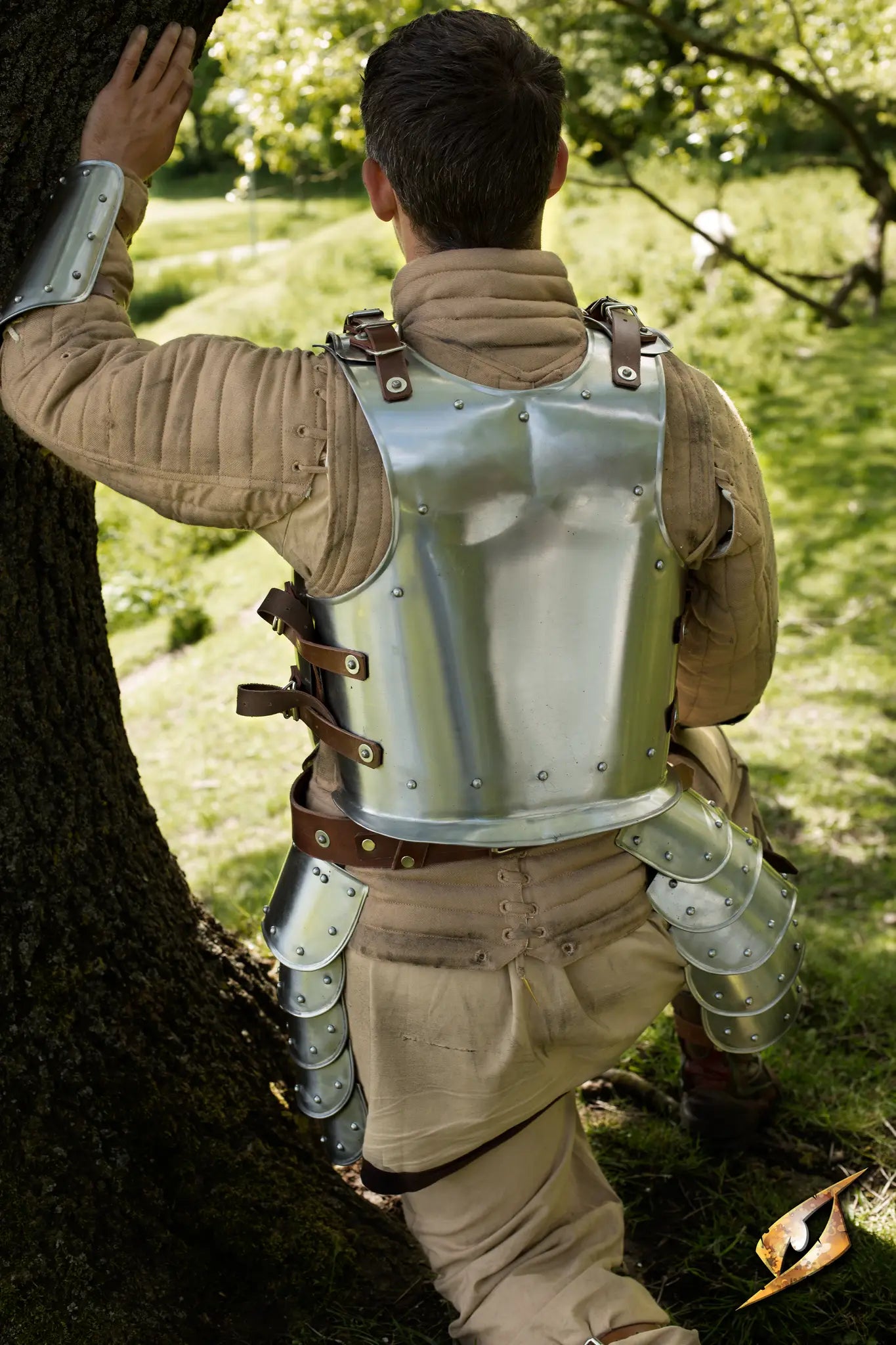 Back Plate Warrior